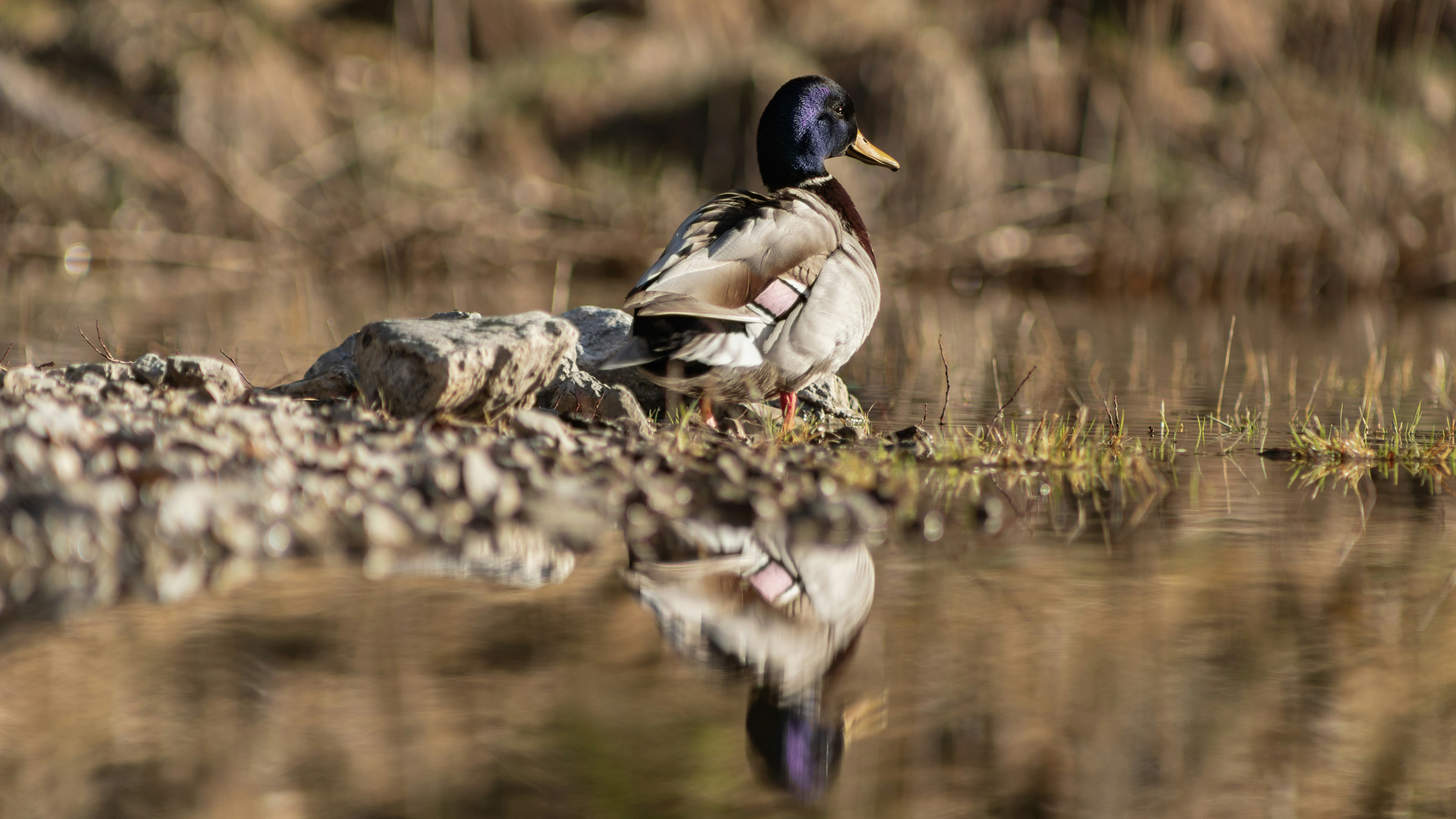 Photo by shutter_speed_