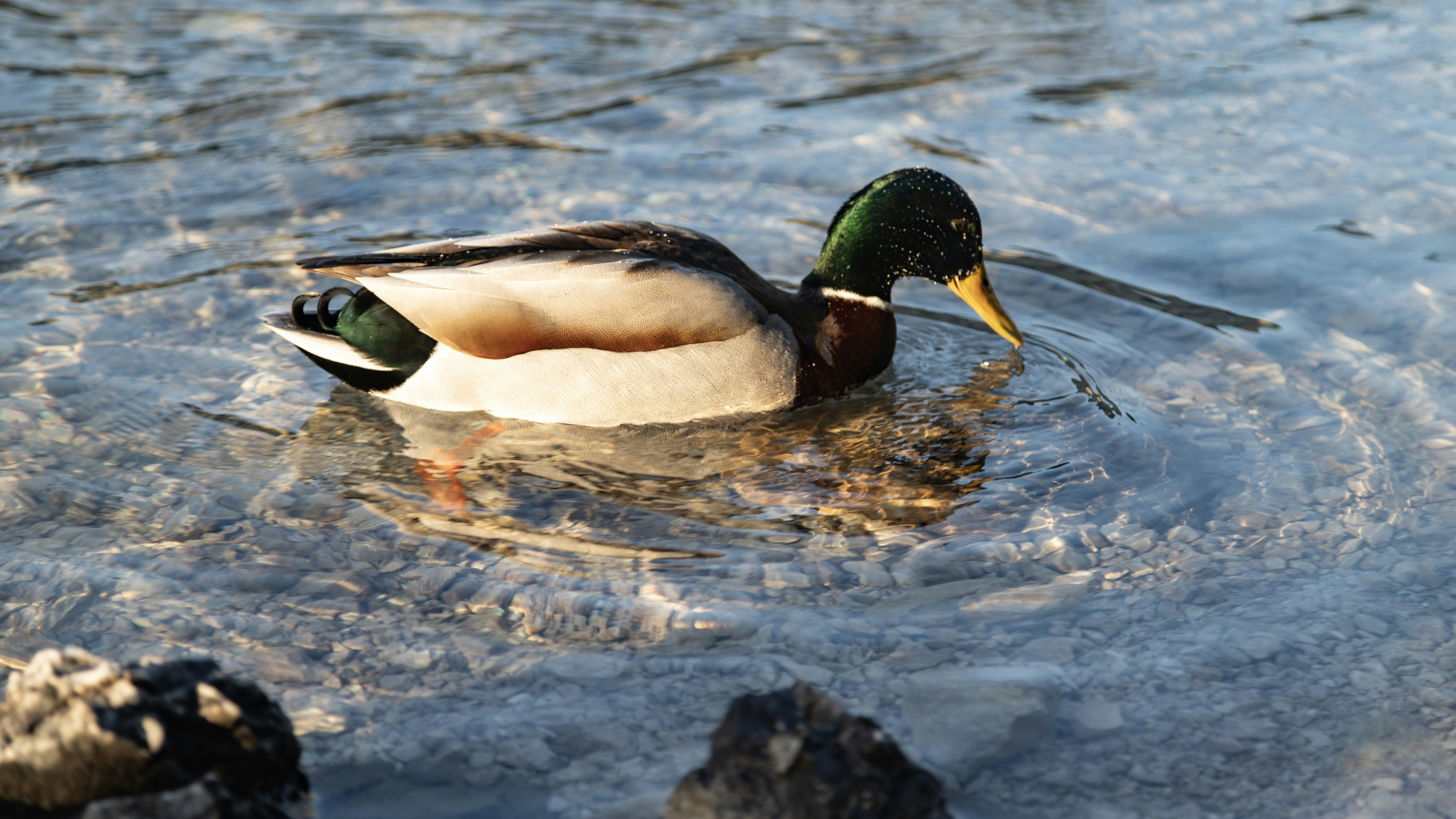 Photo by shutter_speed_