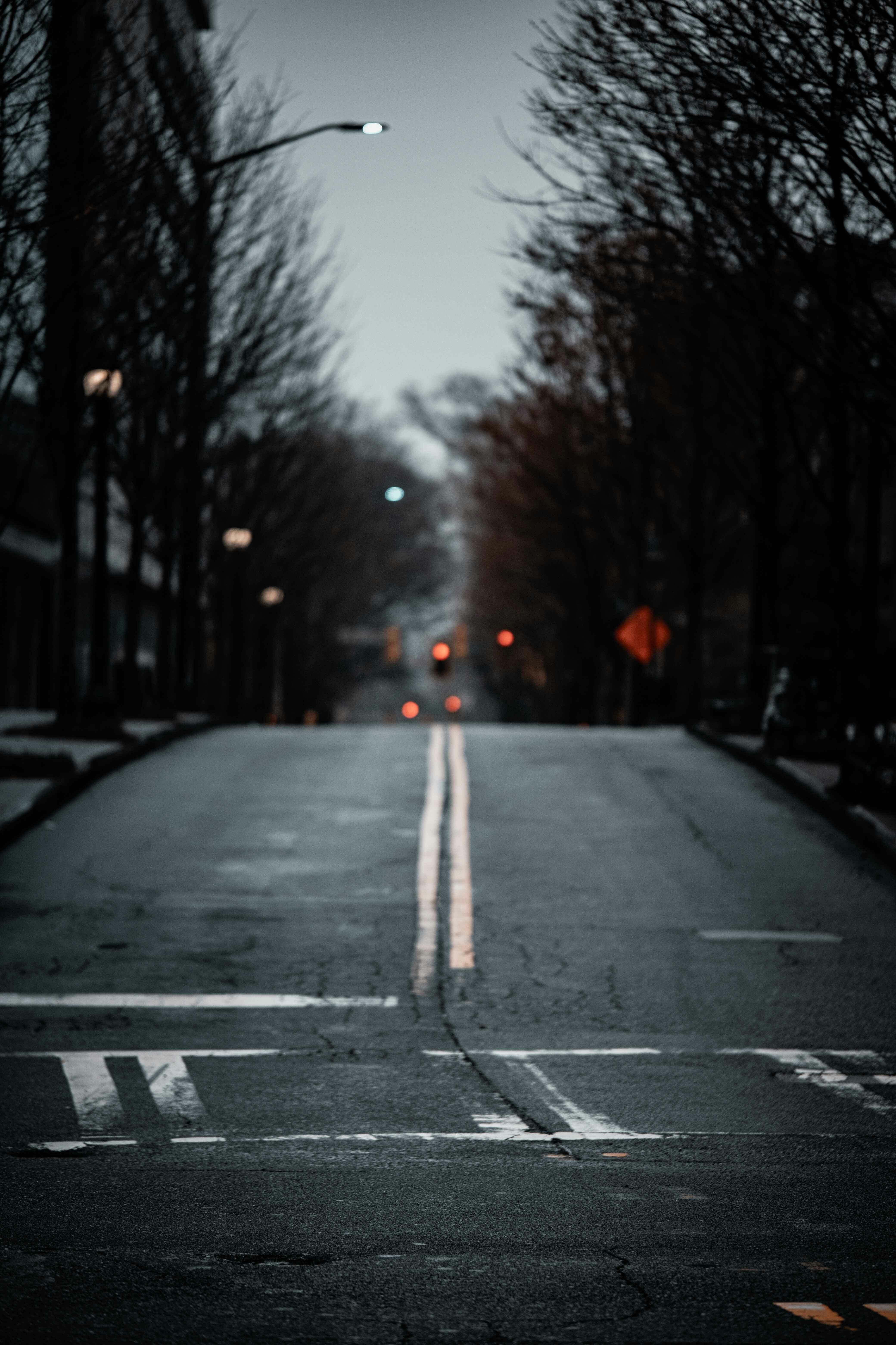 Photo by szphotography79