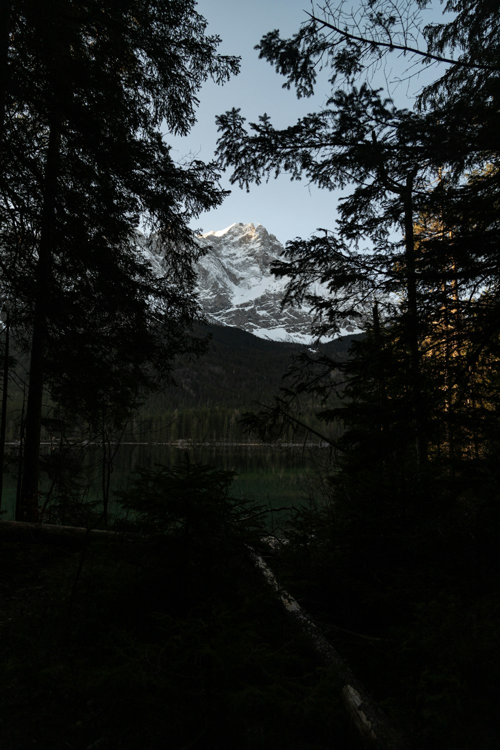 a view of a mountain through the trees