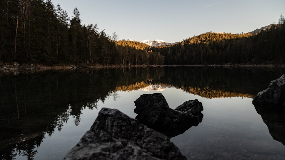 a body of water surrounded by trees and rocks