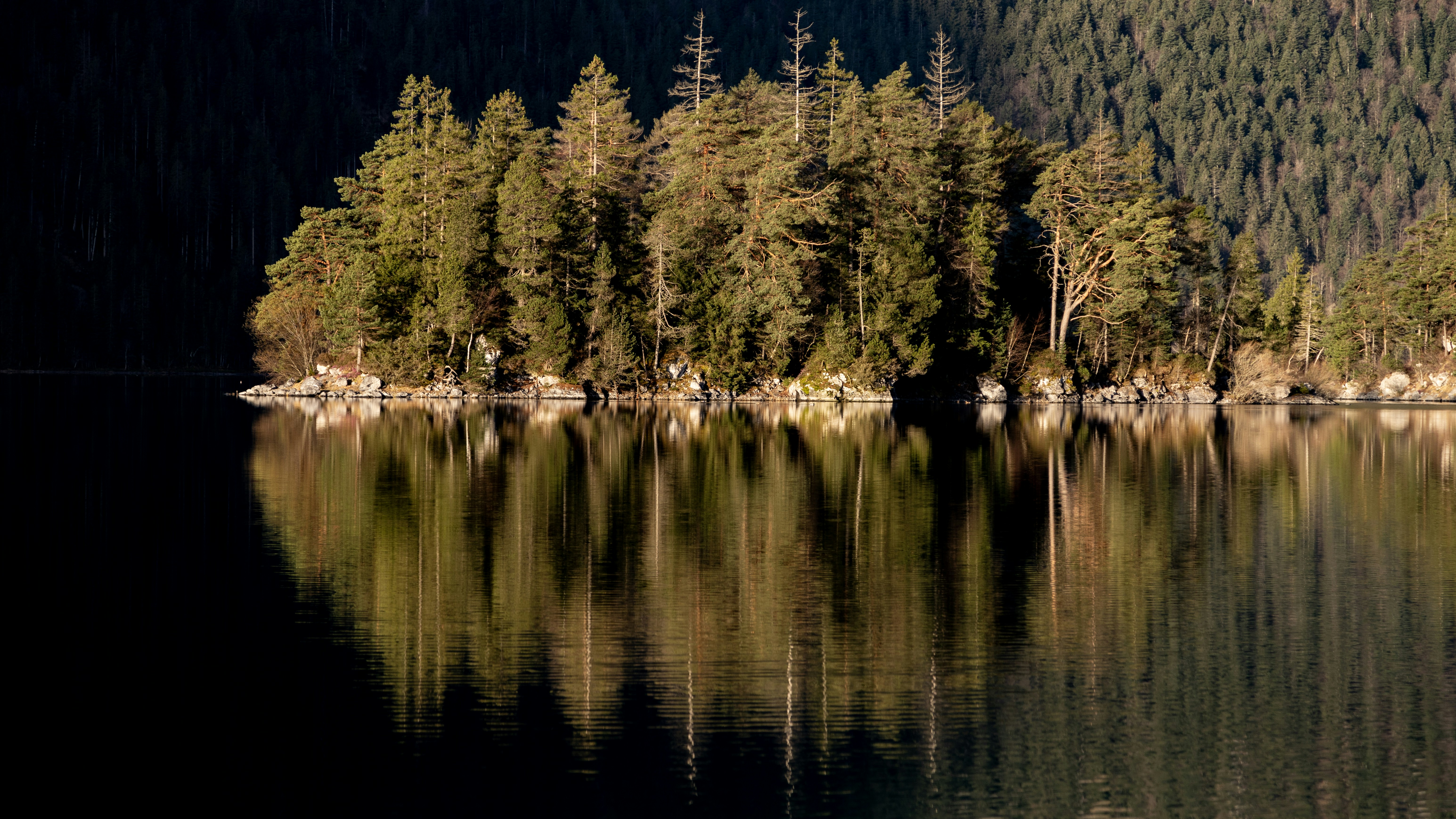 Photo by shutter_speed_