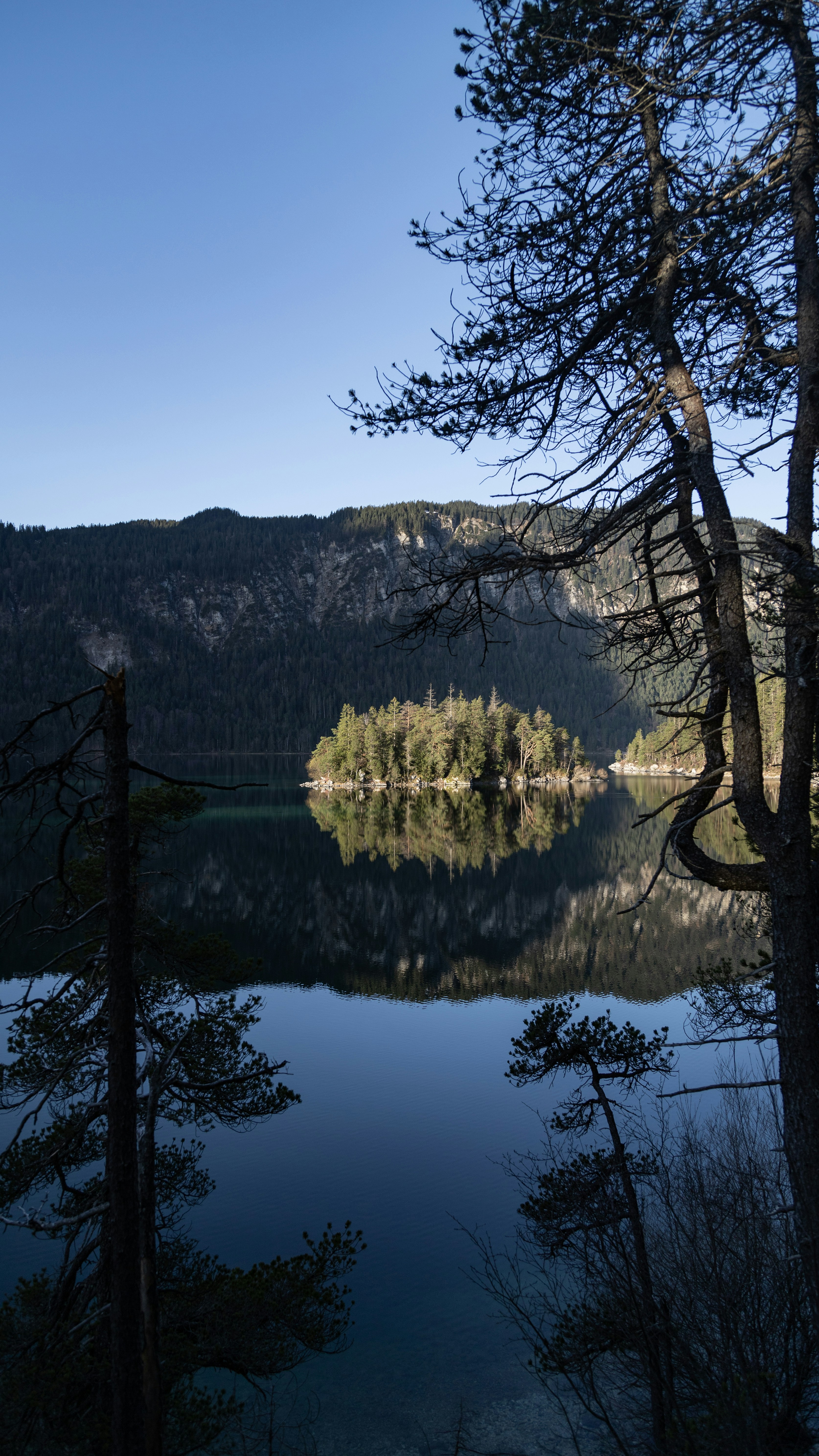 Photo by shutter_speed_