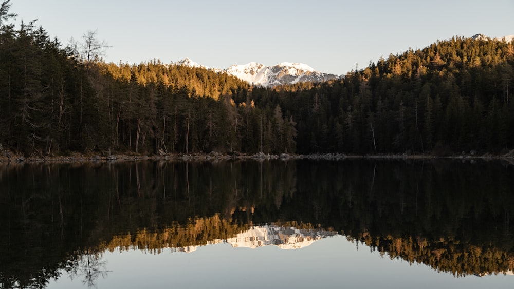 a lake surrounded by trees with a mountain in the background