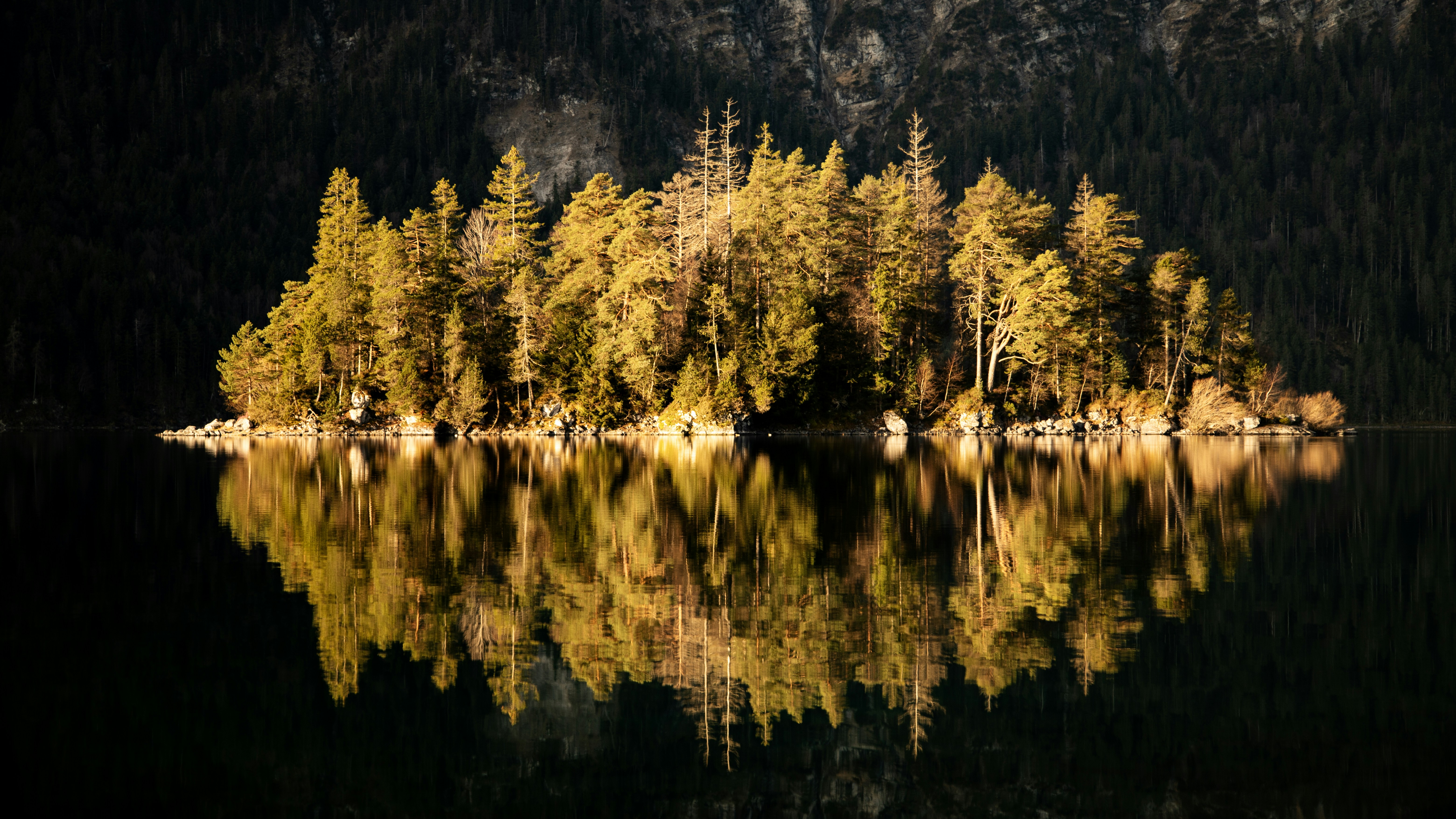 Photo by shutter_speed_