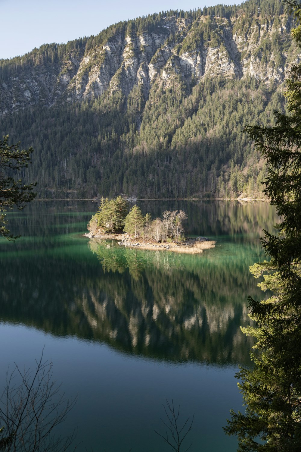 a large body of water surrounded by a forest