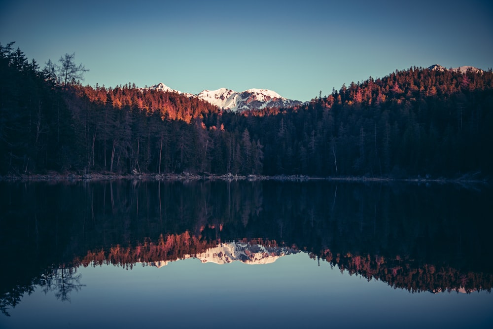 a lake surrounded by trees with a mountain in the background