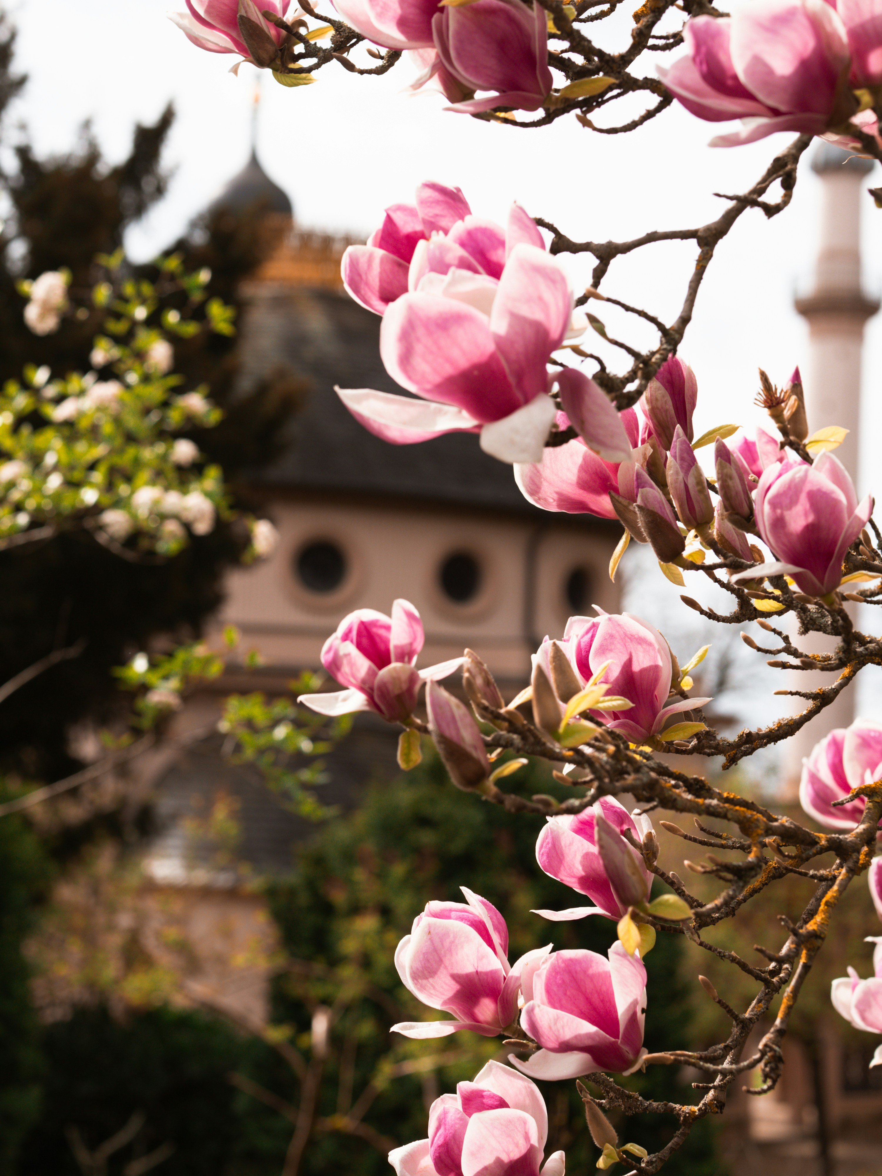 Photo by zahorulko__alina