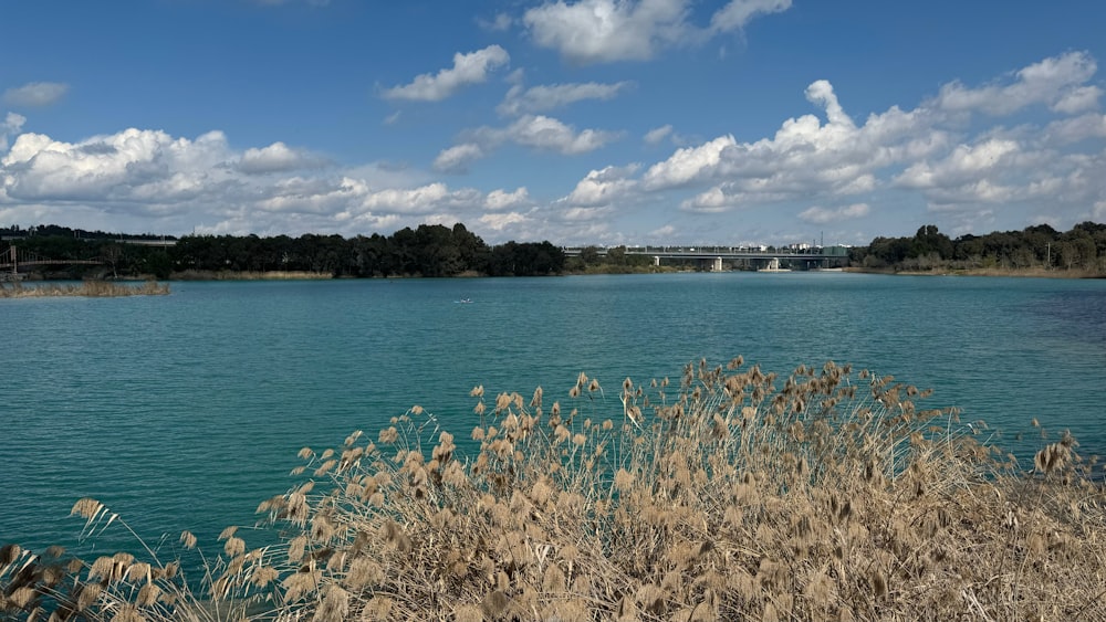 a body of water with a bridge in the background