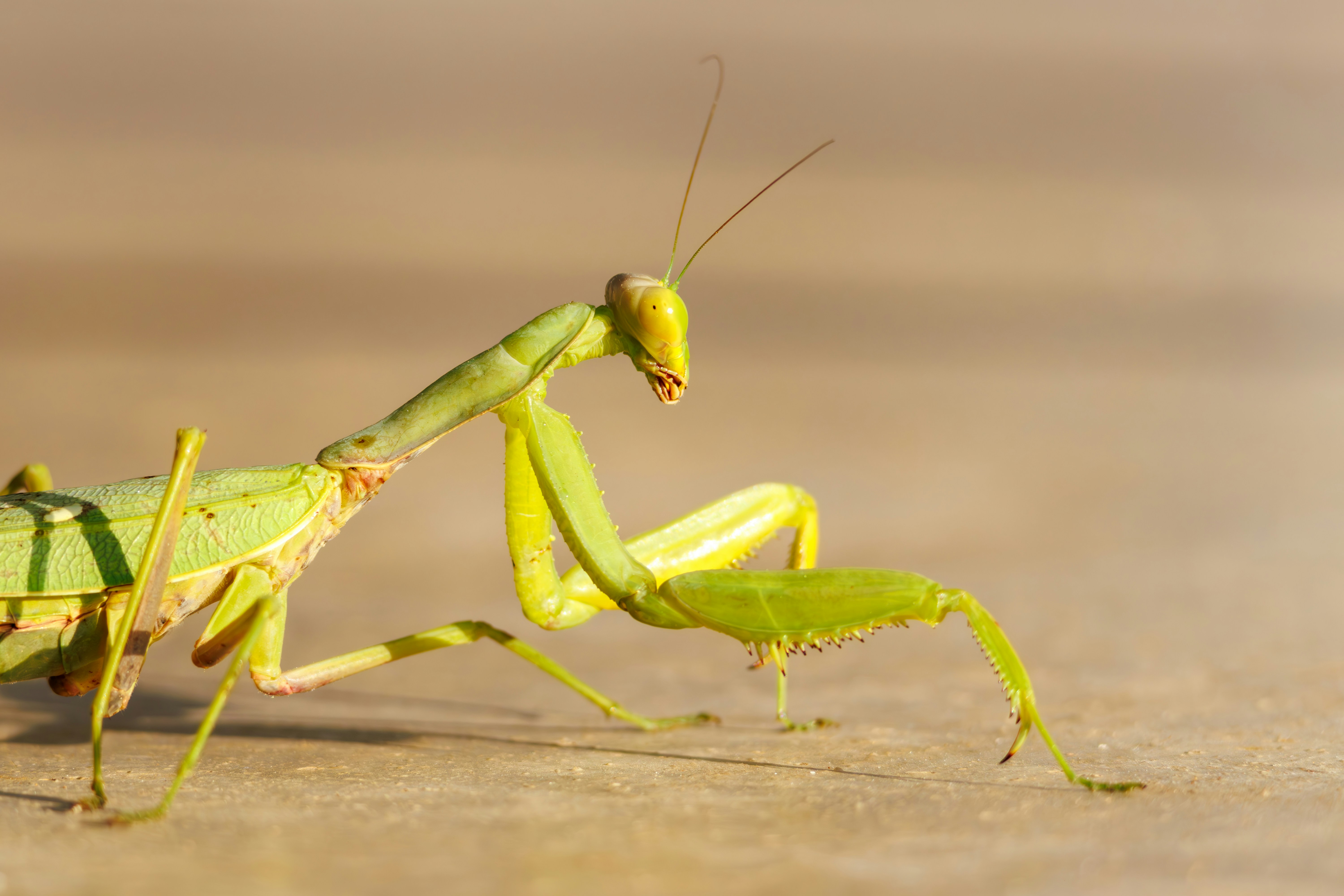 Photo by stockbirken