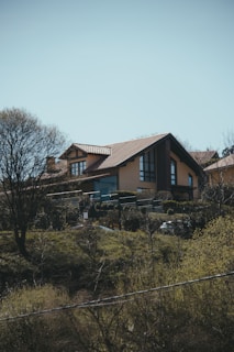 a house in the middle of a grassy field