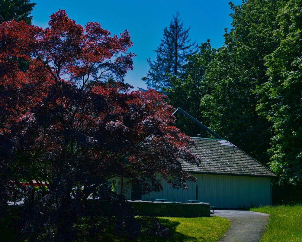 a house with a tree in front of it