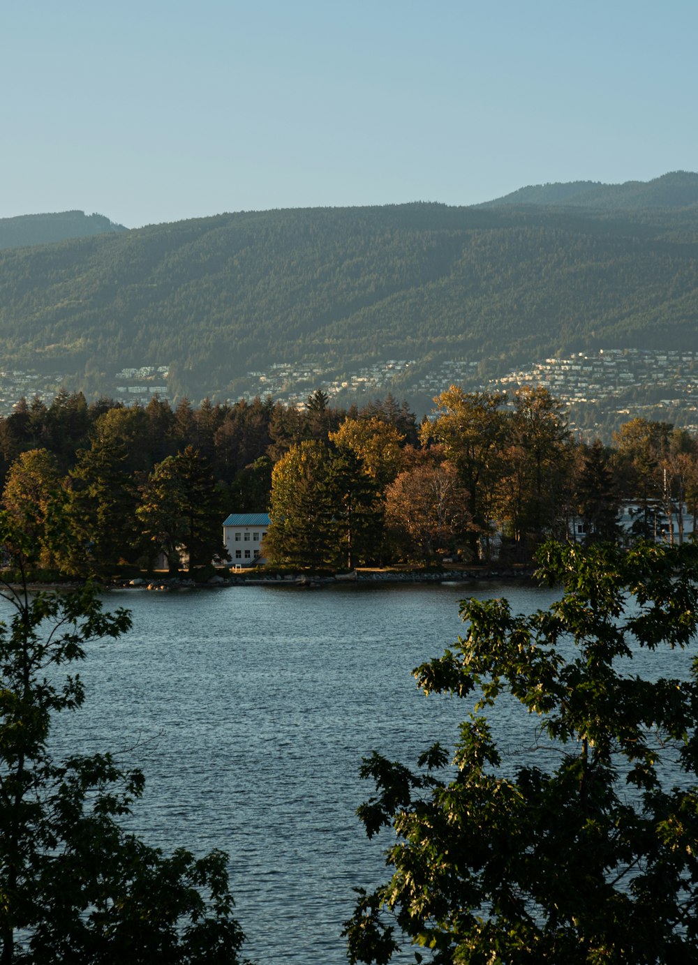 a body of water surrounded by trees and mountains