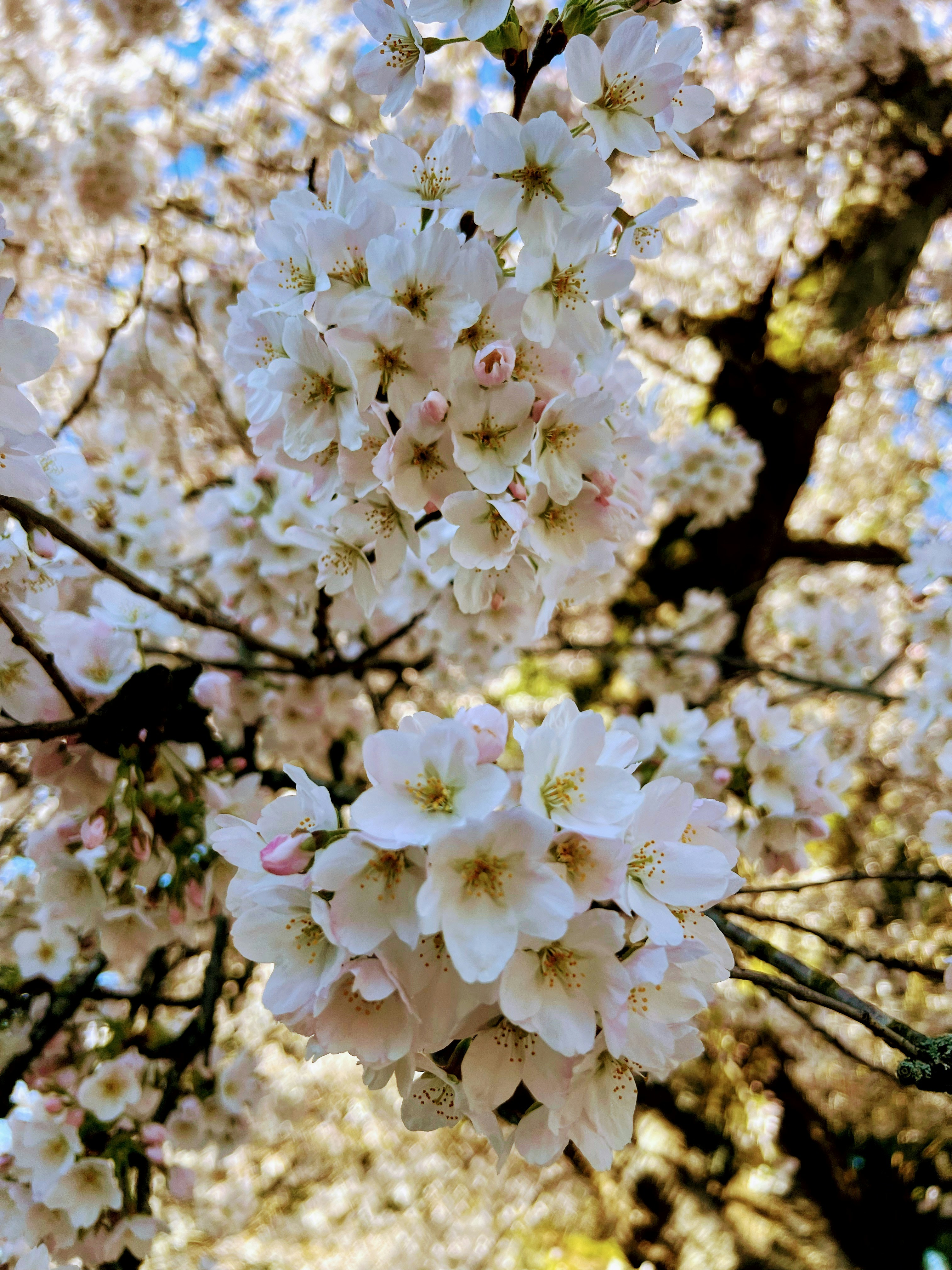 Photo by prismoflight