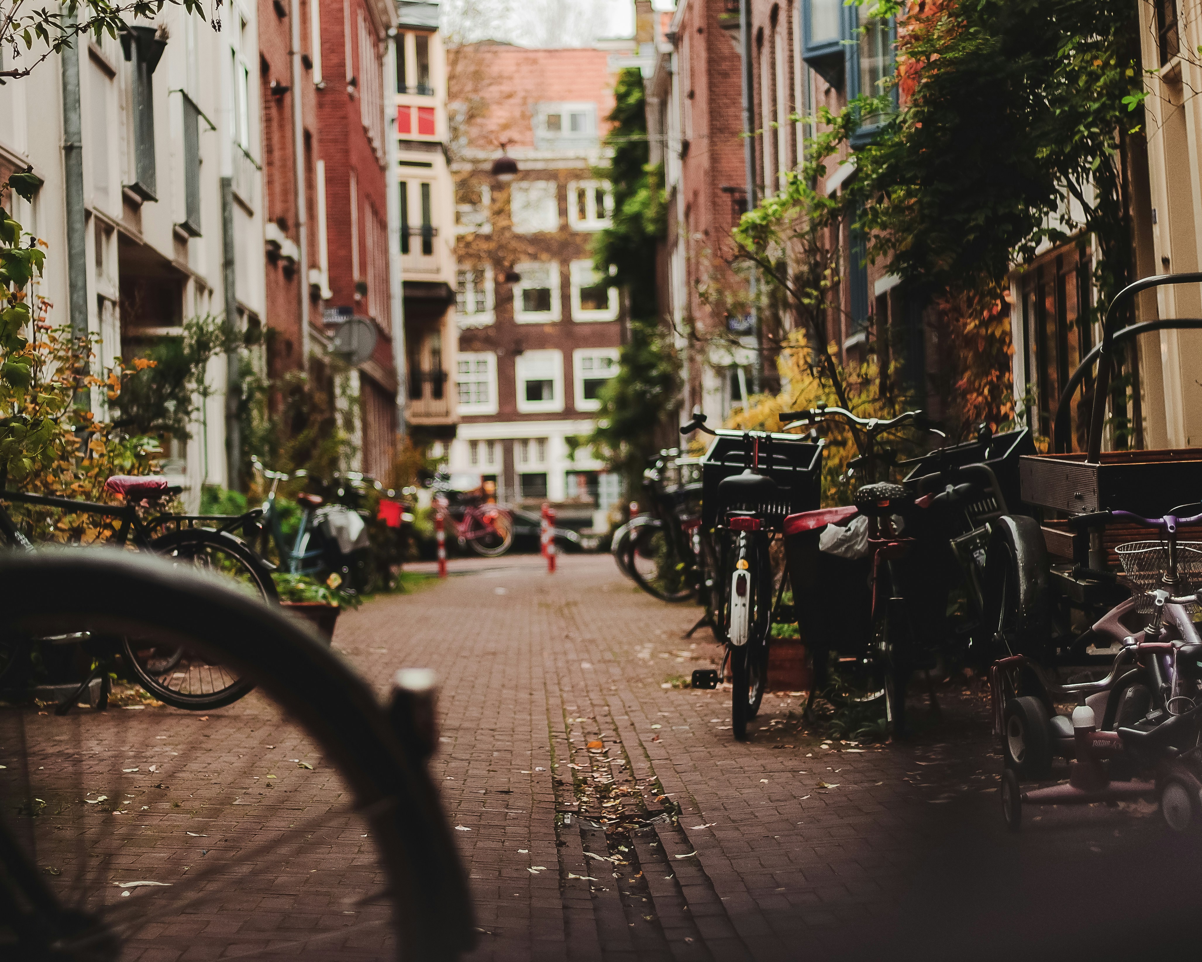 Photo by behindthetmuna