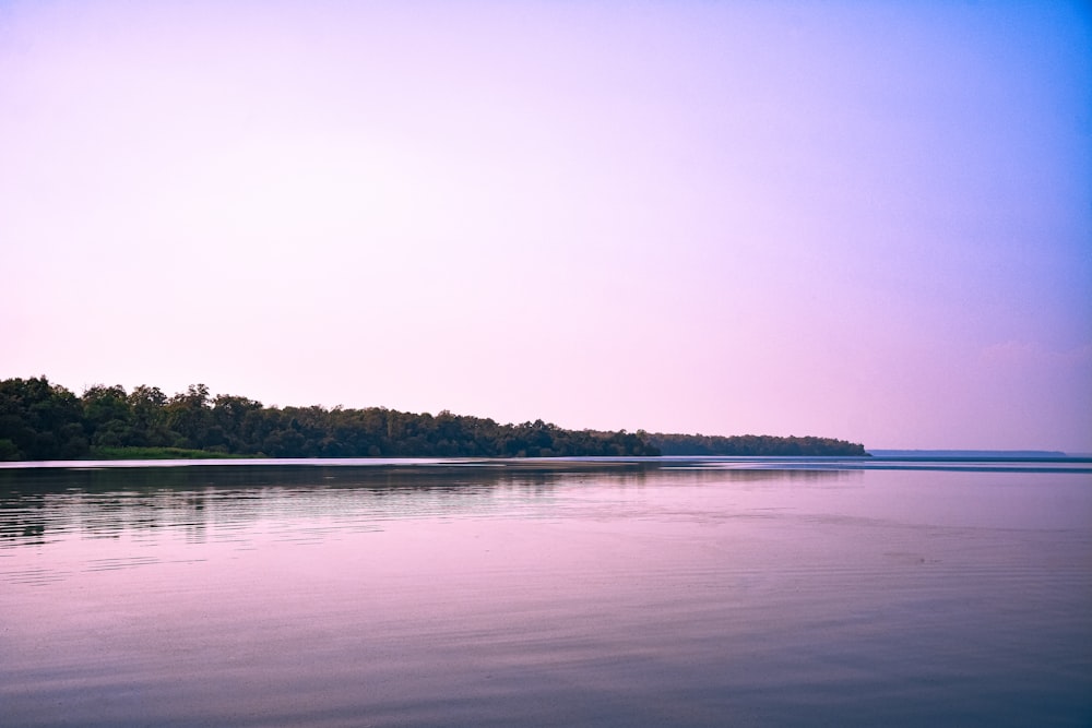 a body of water with trees in the background