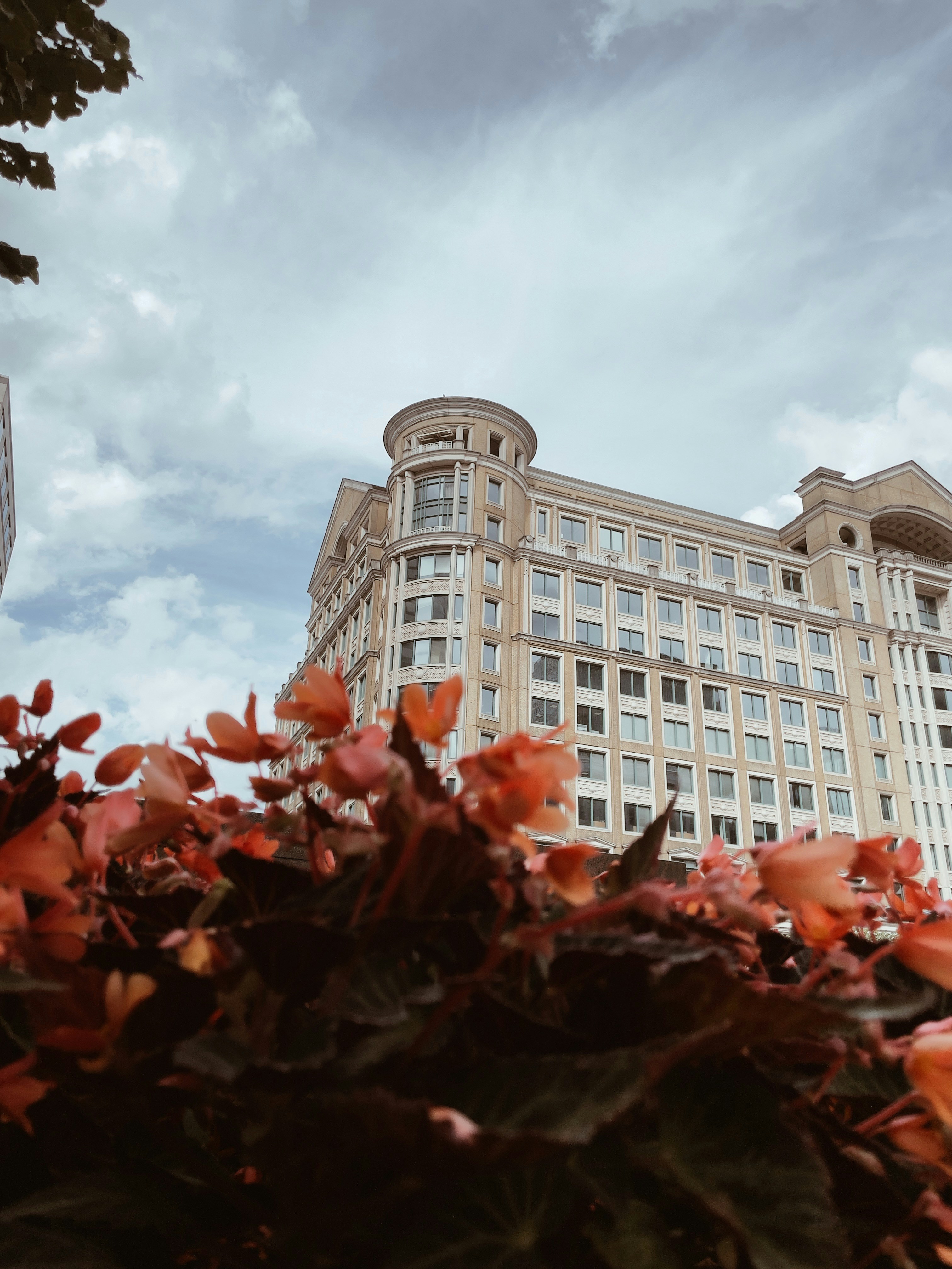 Photo by muhammedfardeen