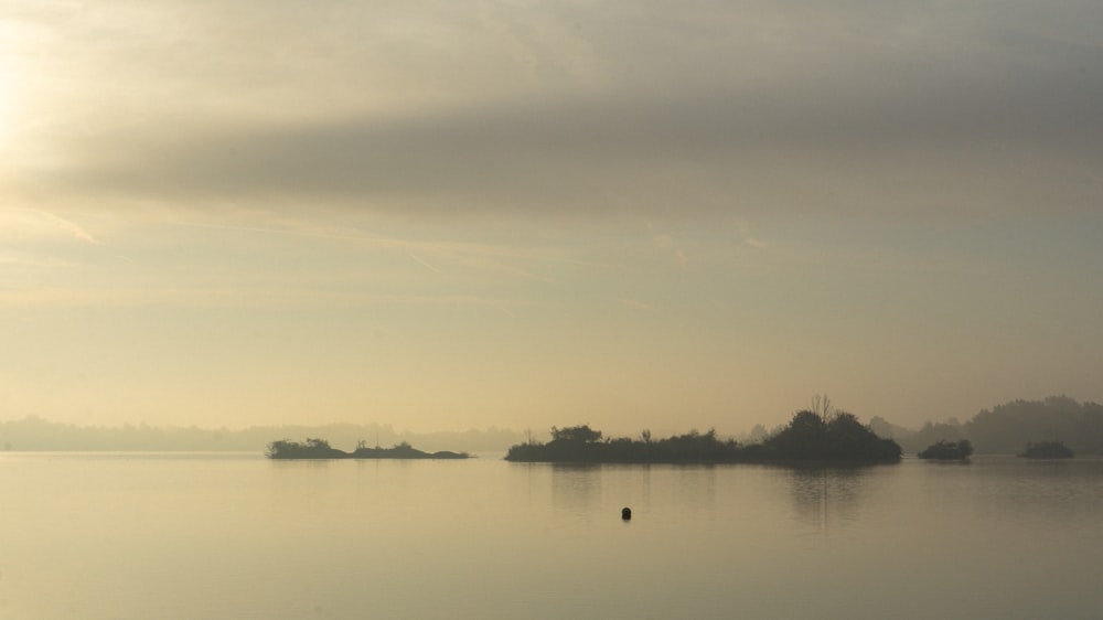 a large body of water surrounded by trees