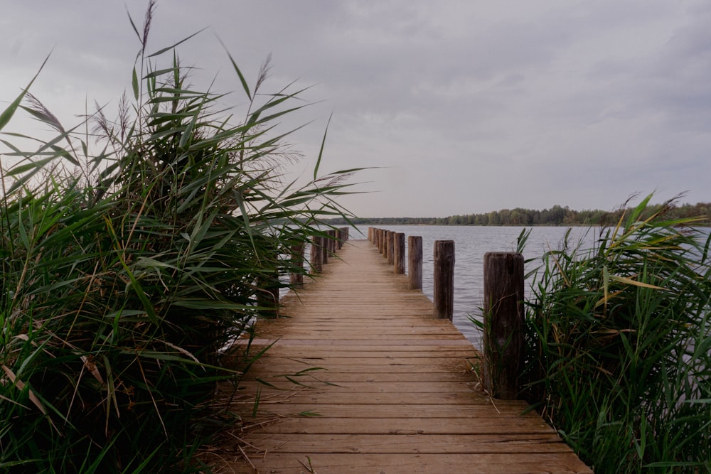 a wooden walkway leading to a body of water