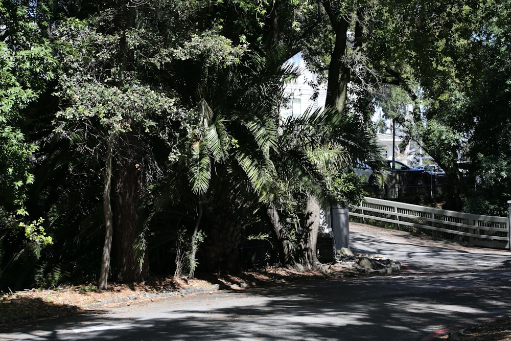 a street with trees and a white house in the background