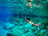 a woman in a bikini swimming in the ocean