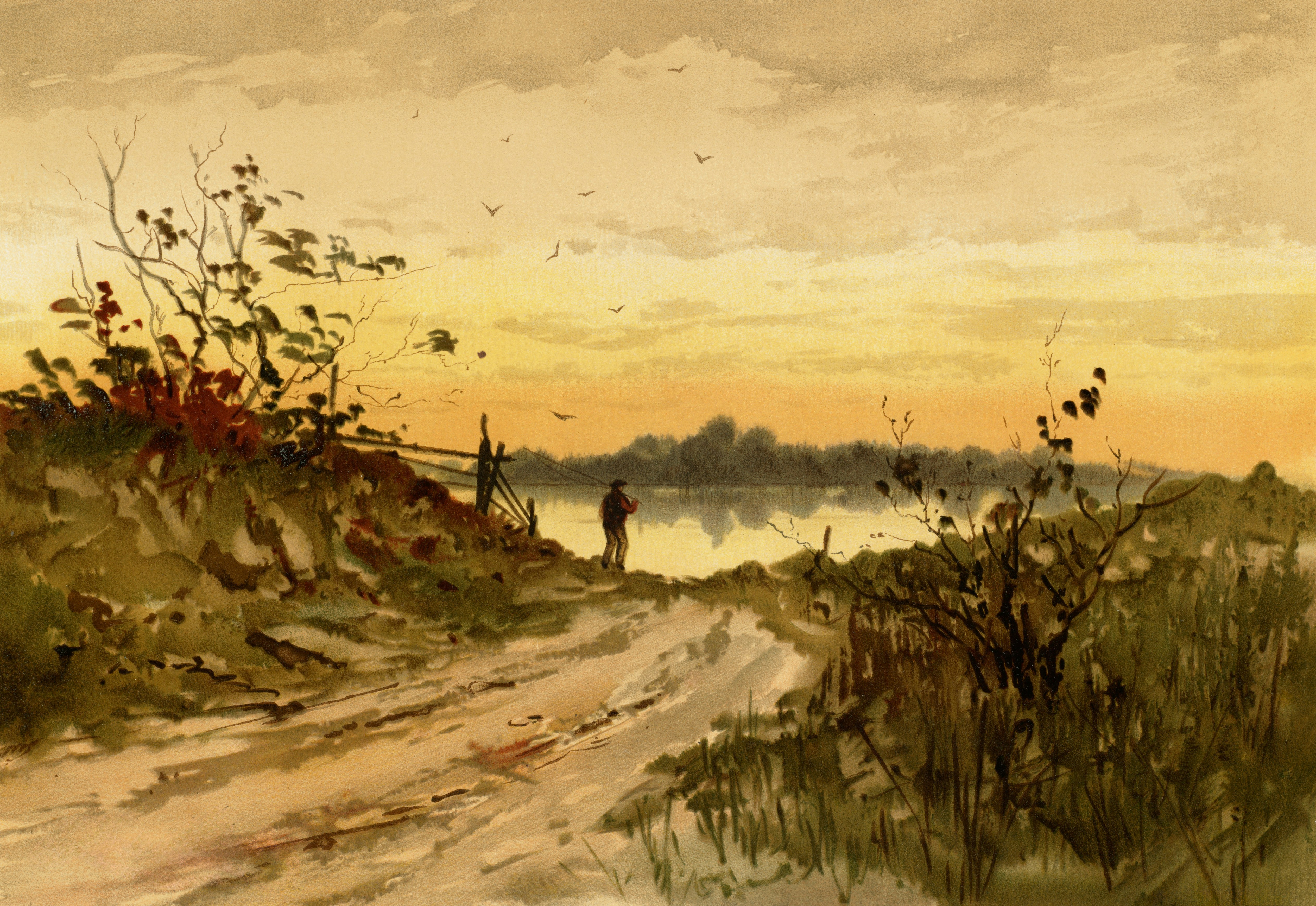 Photo by bostonpubliclibrary