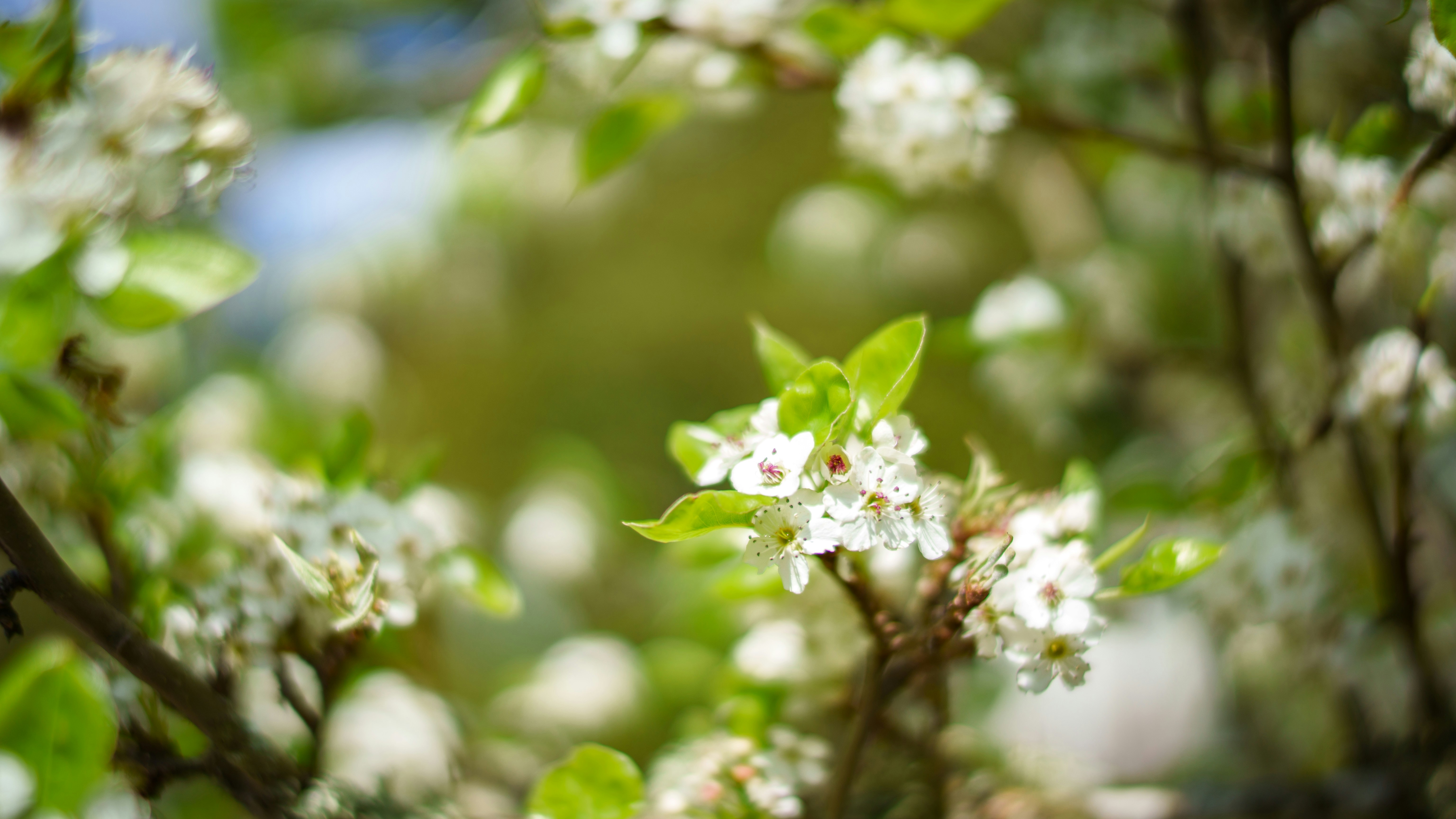 Photo by windowseatphotography