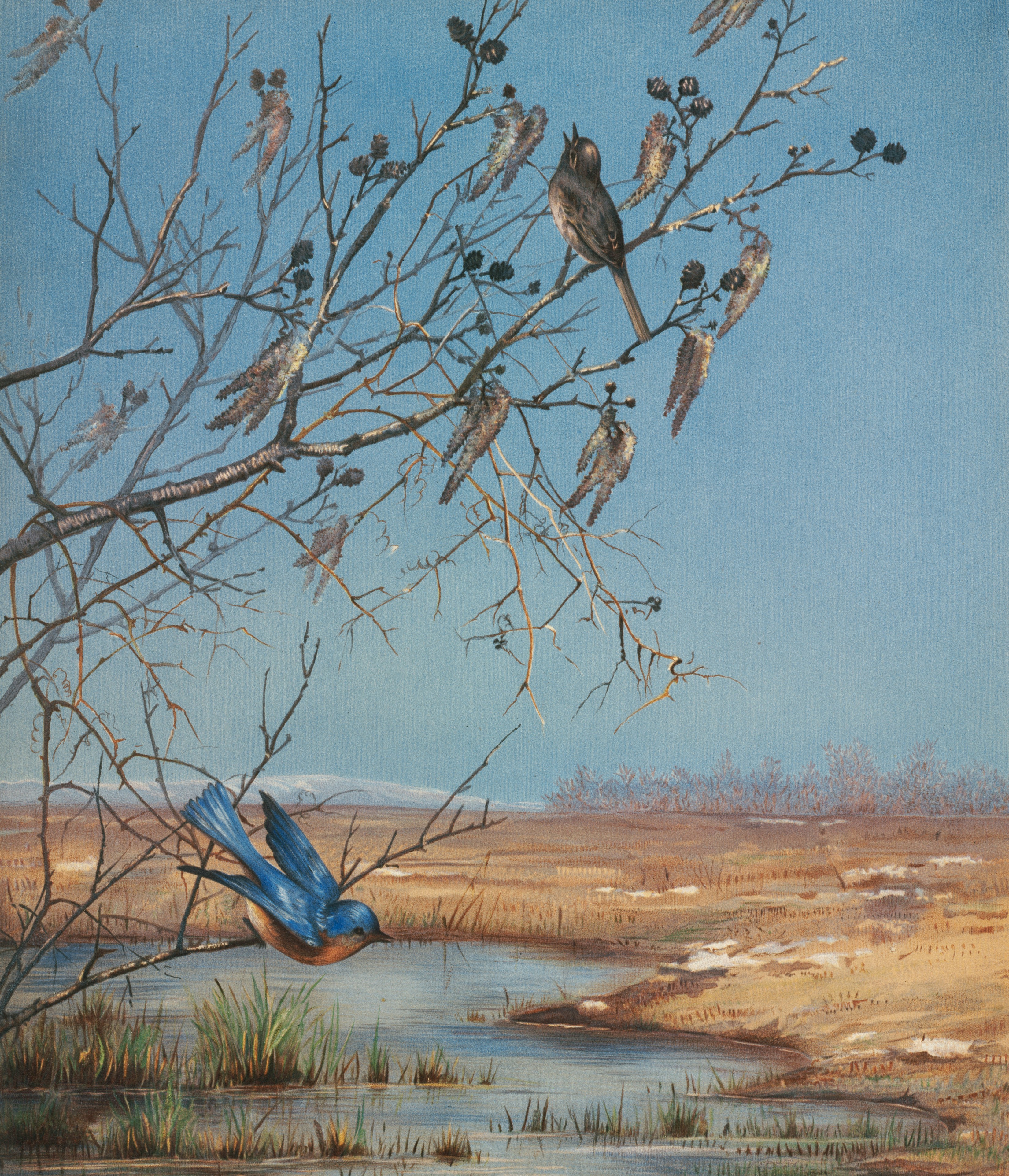 A painting of birds perched on a tree branch photo – Free Archival ...