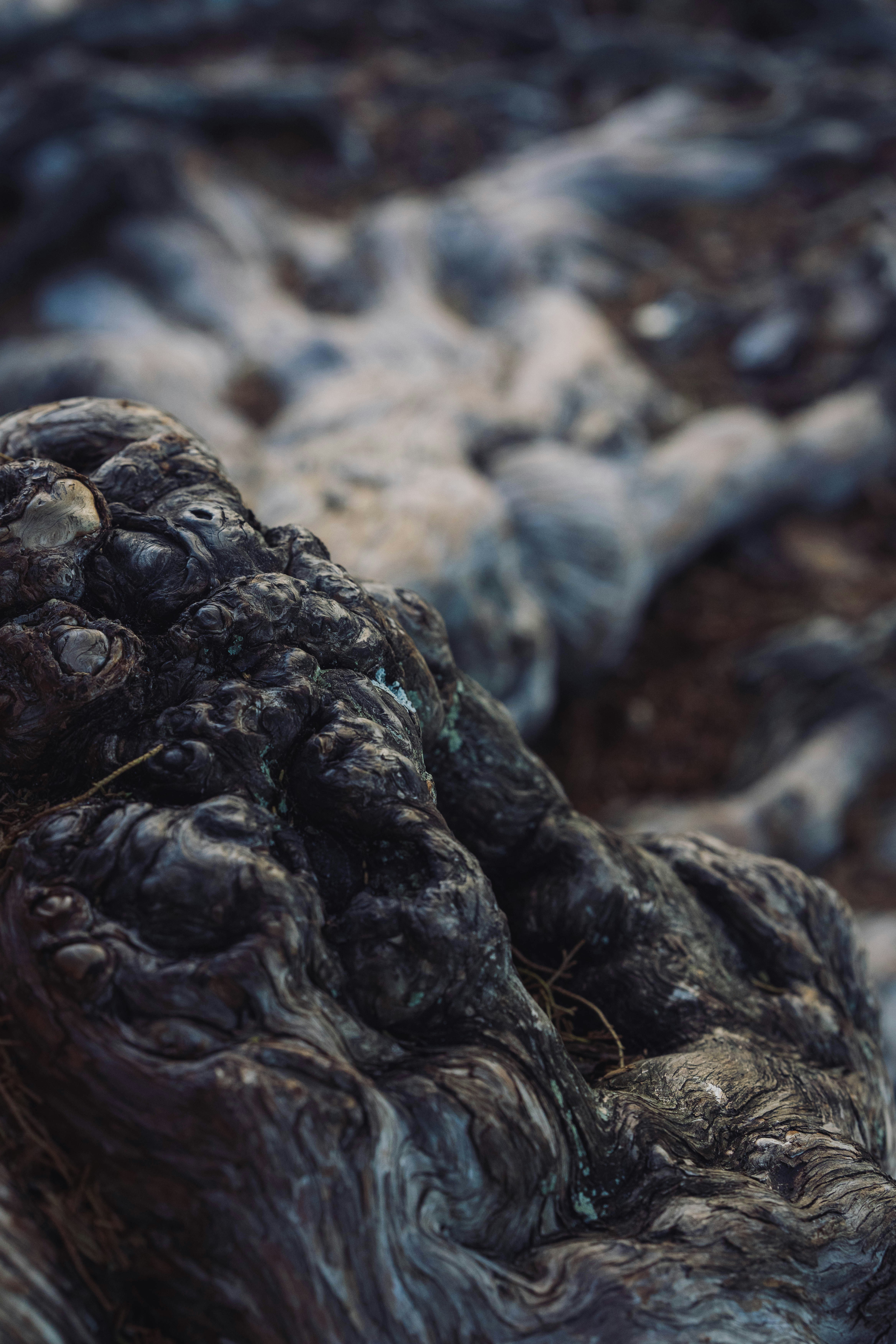 Photo by tinymonkeybrain