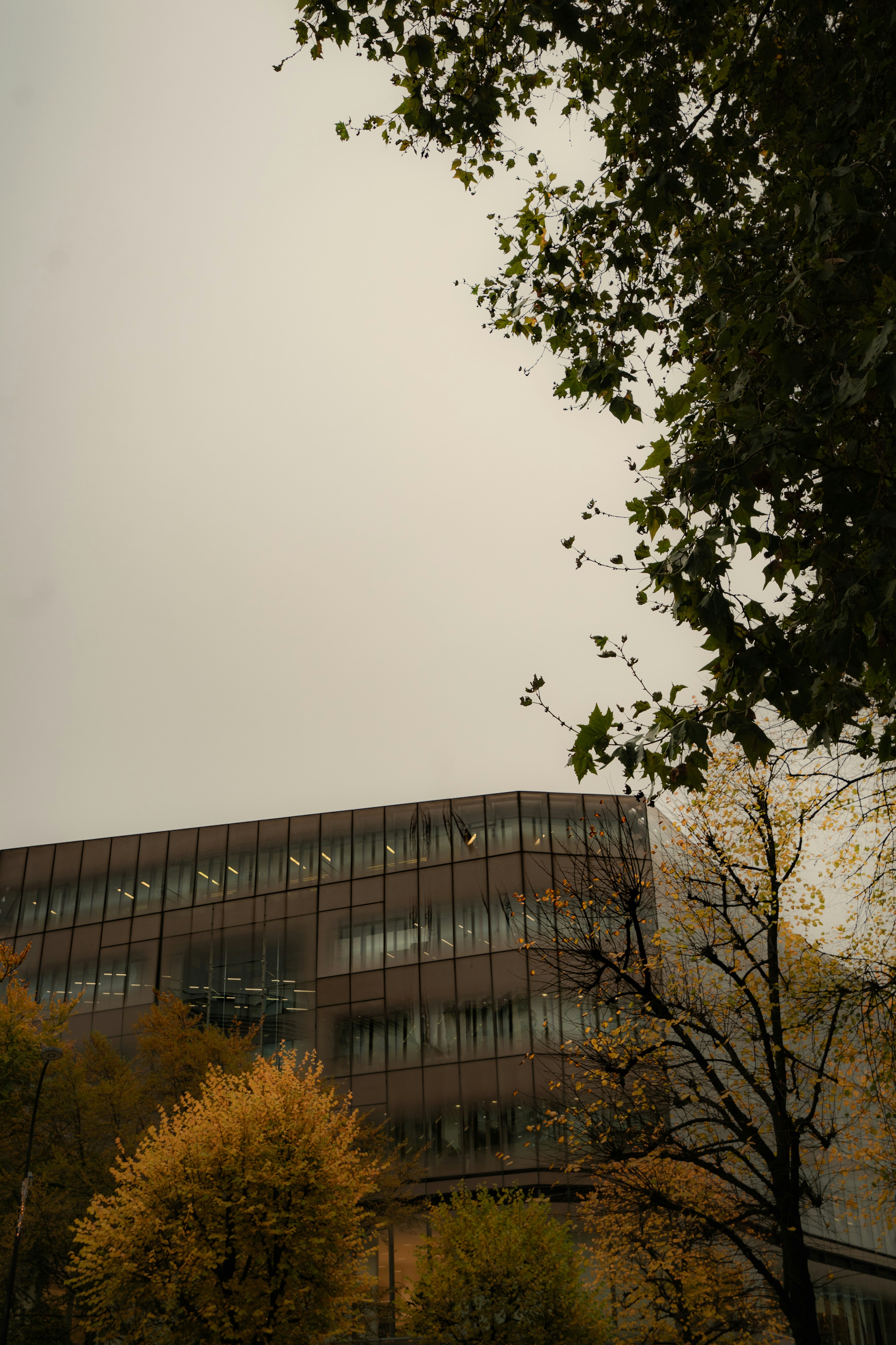 Photo by horologyhands