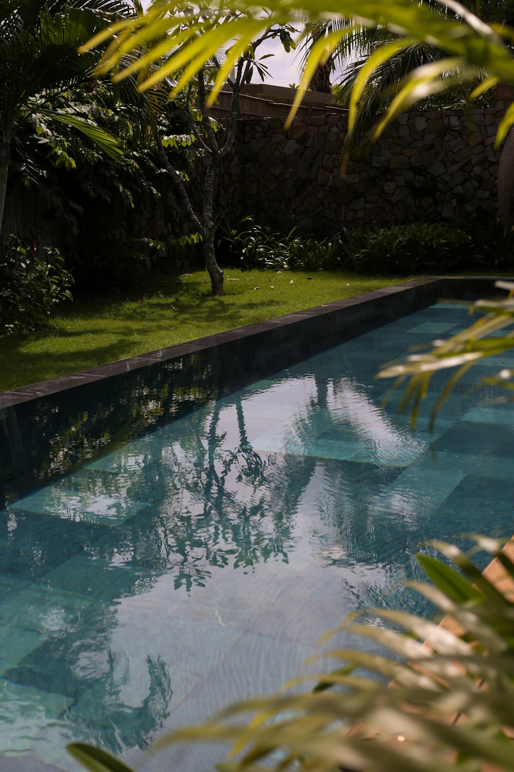 a pool surrounded by a lush green yard
