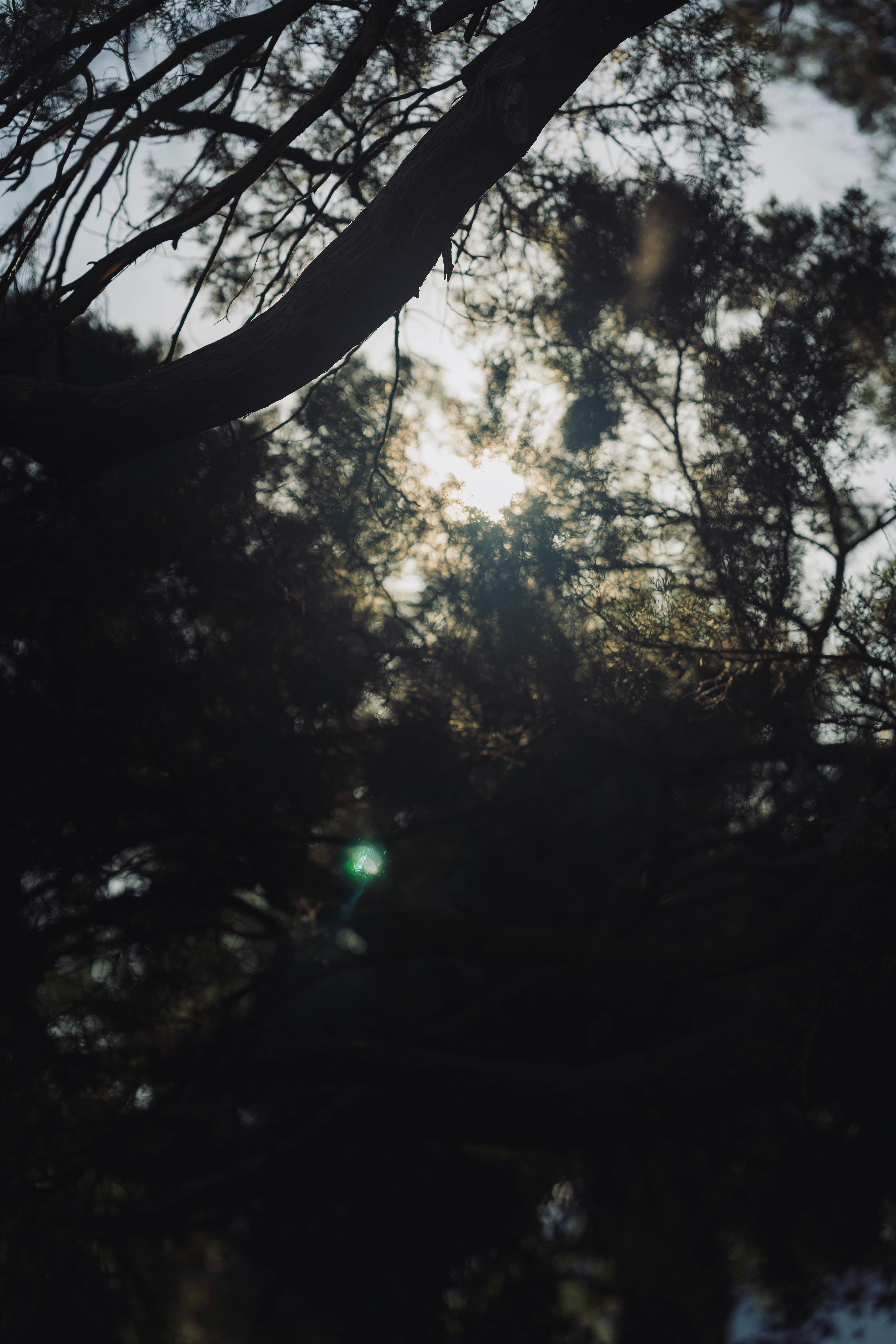 Photo by tinymonkeybrain