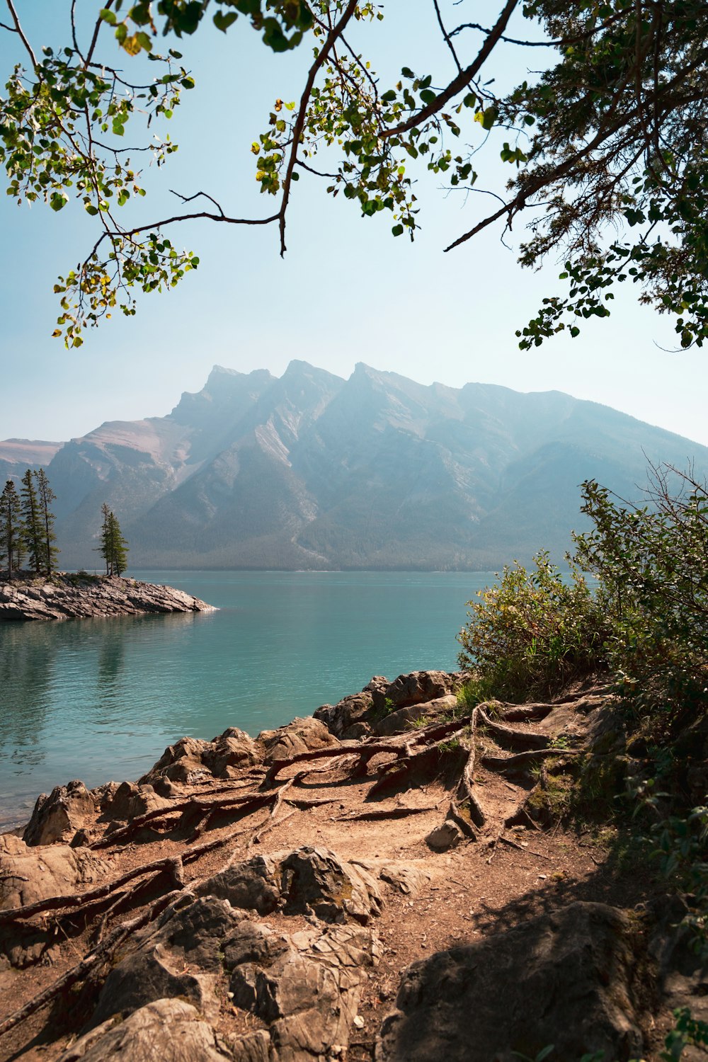 a view of a lake with mountains in the background