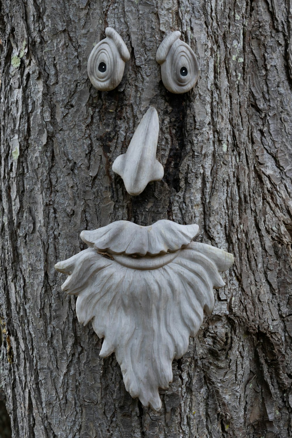 a tree with a face carved into it