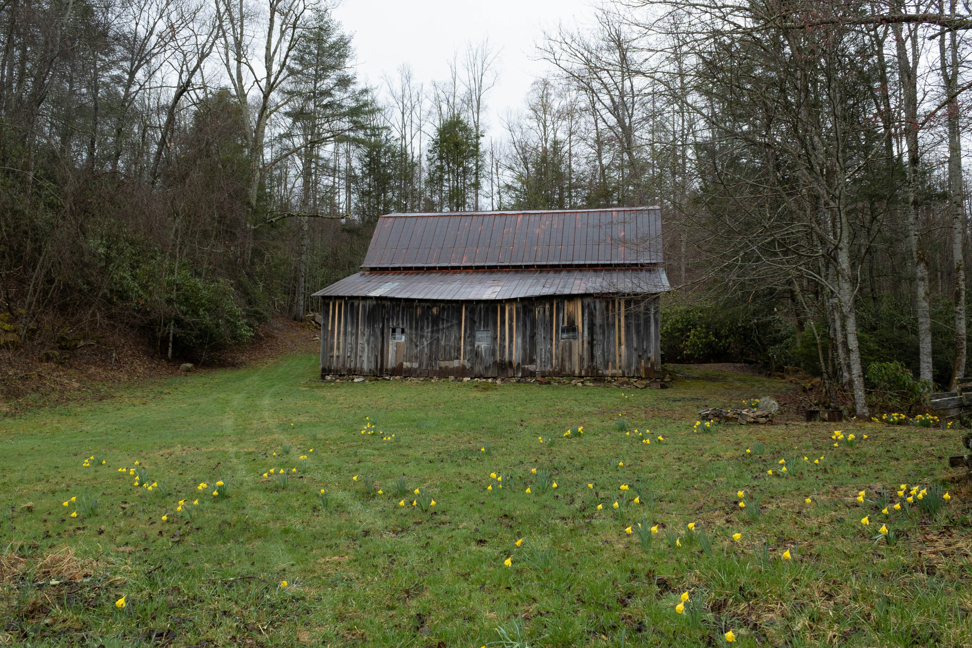 Photo by leslie_outofdoors