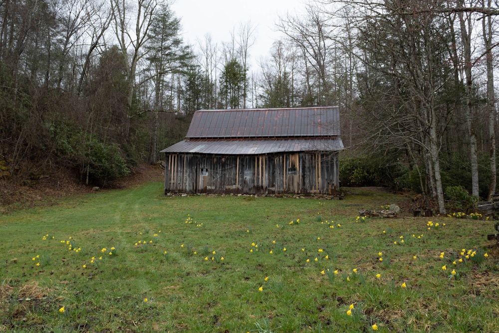 an old barn in the middle of the woods