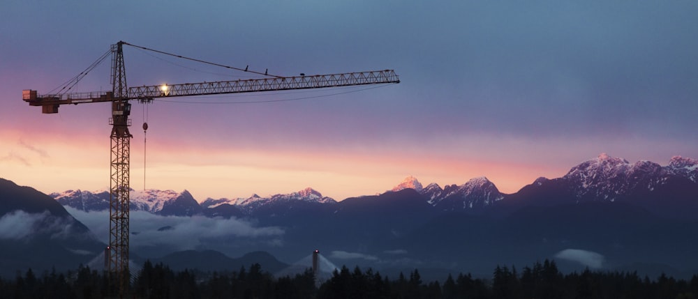 a crane is standing in front of a mountain range