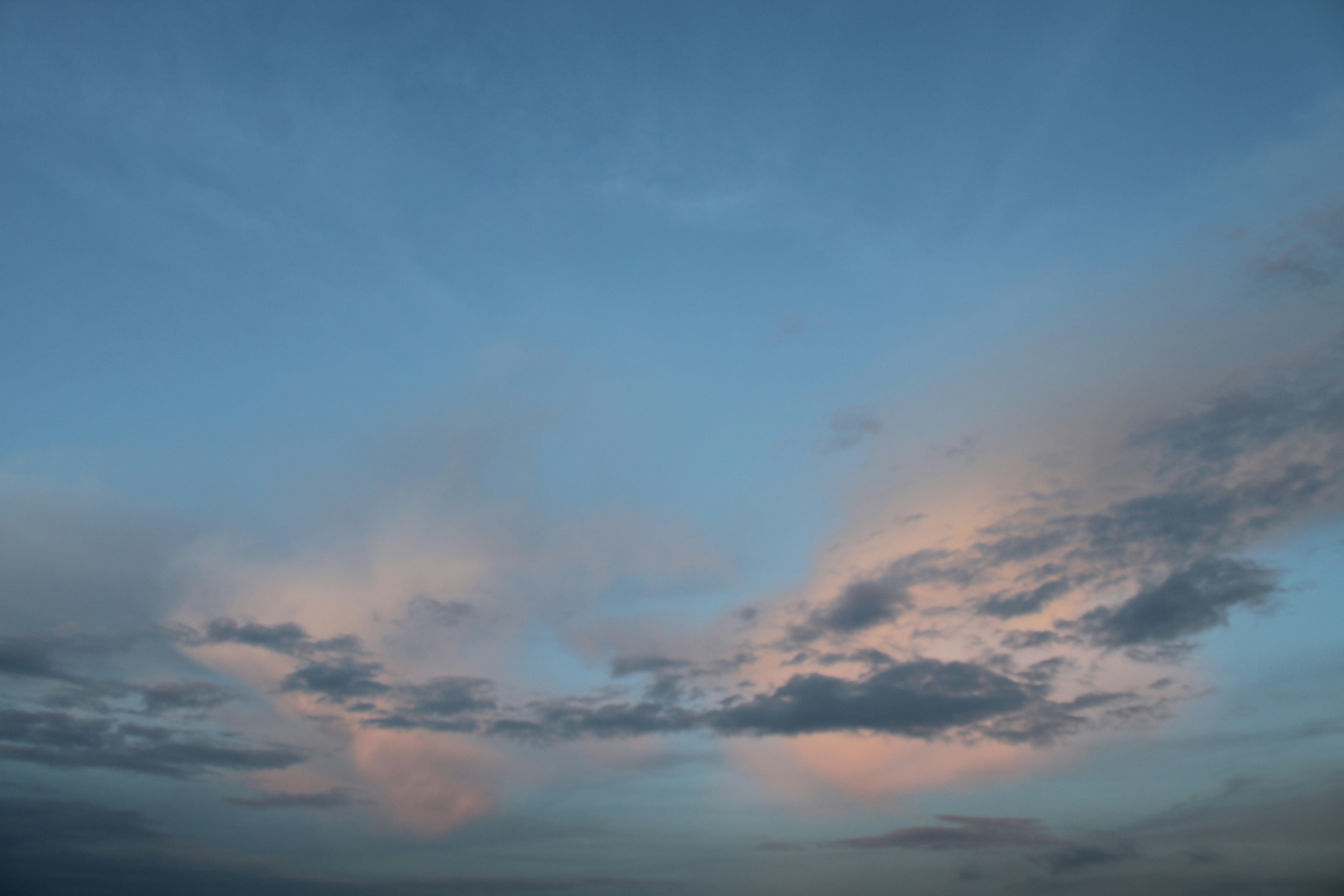 Photo by photoloveramico