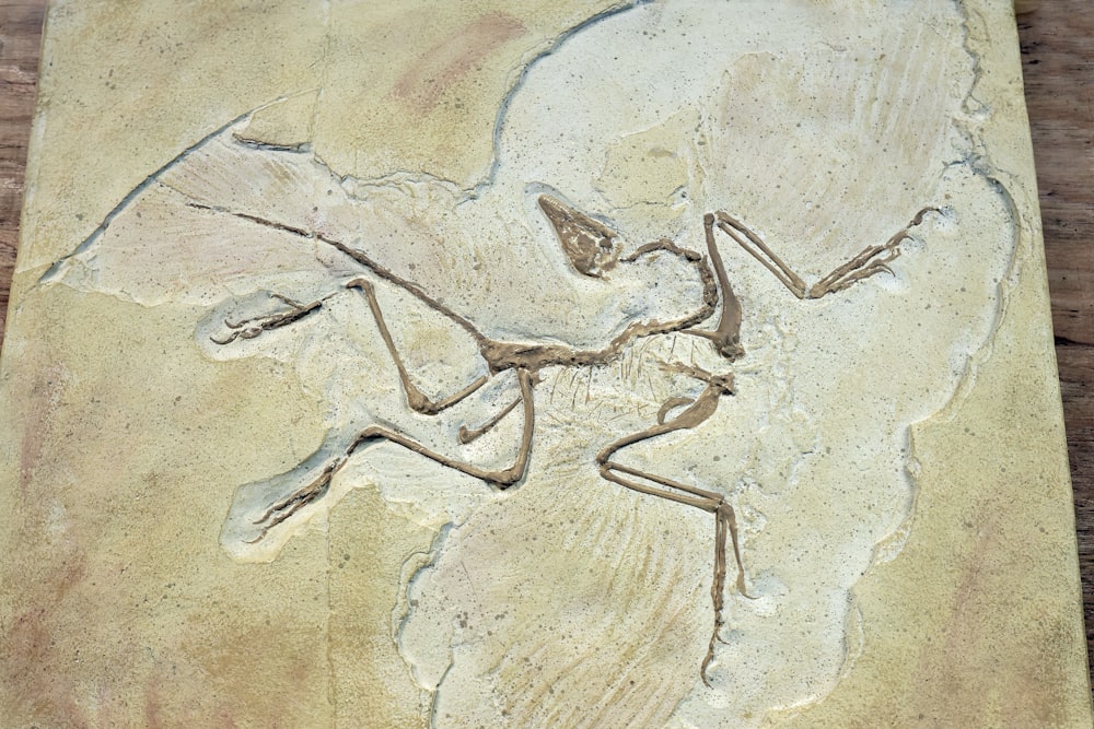a stone carving of a bird on a wooden table