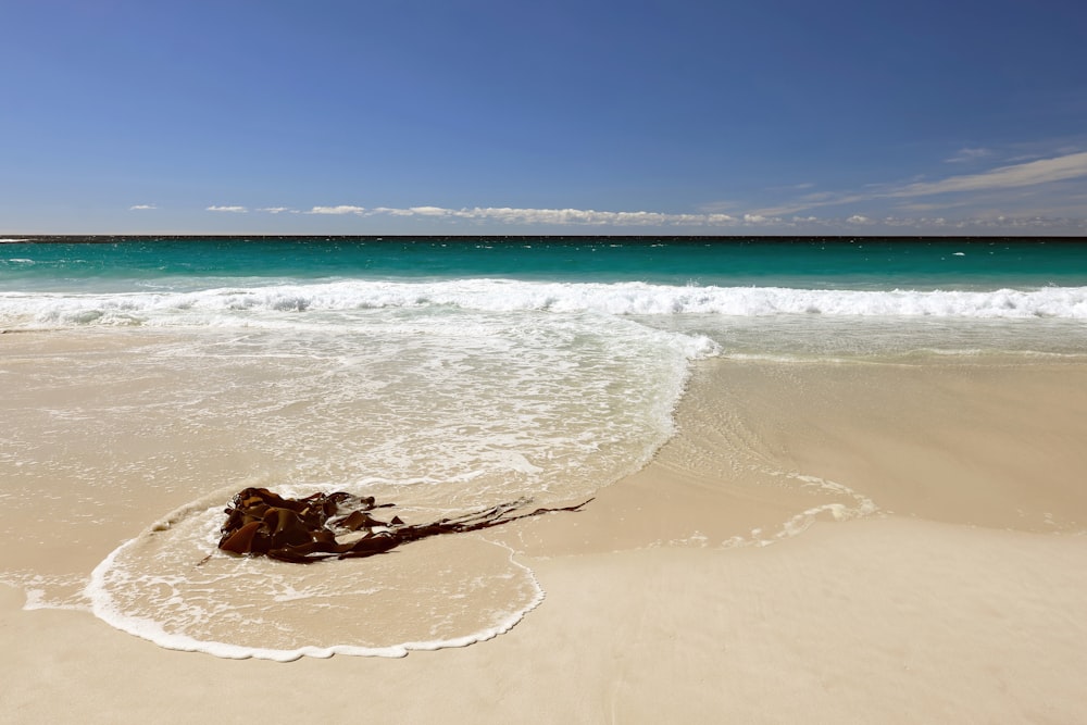 a sandy beach with waves coming in to shore