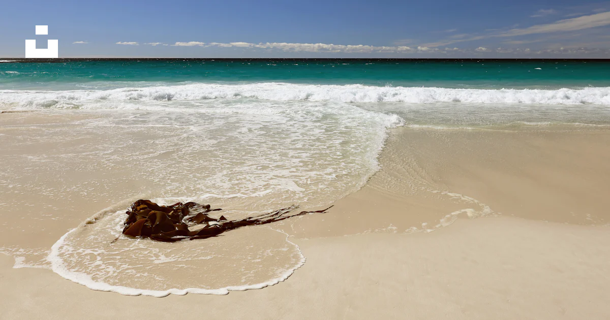 Une plage de sable avec des vagues qui arrivent sur le rivage photo ...