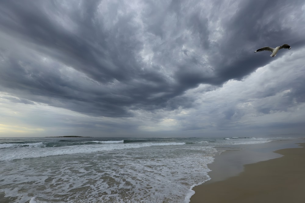 a bird flying over the ocean under a cloudy sky