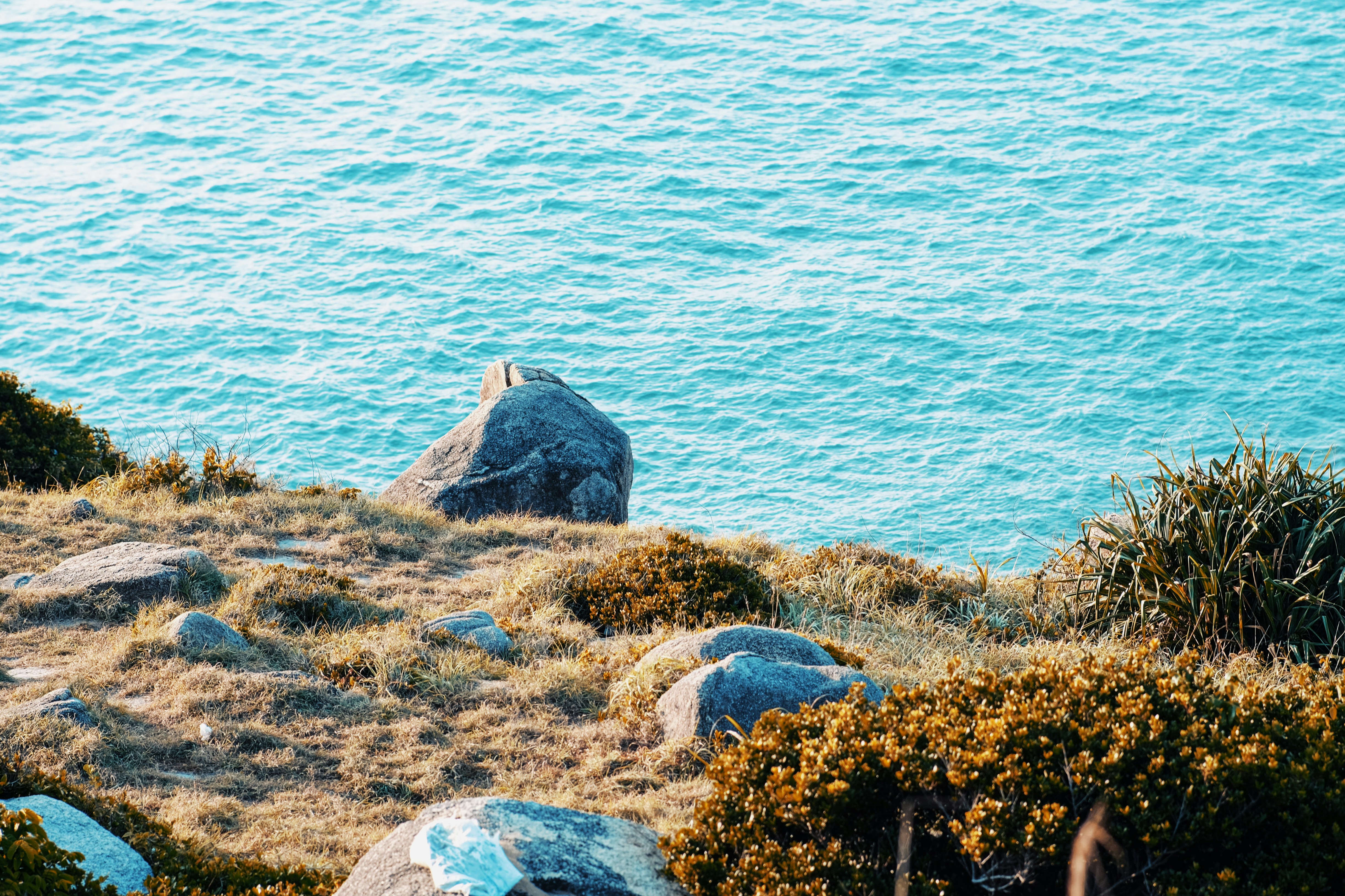 a bird is sitting on a rock near the water