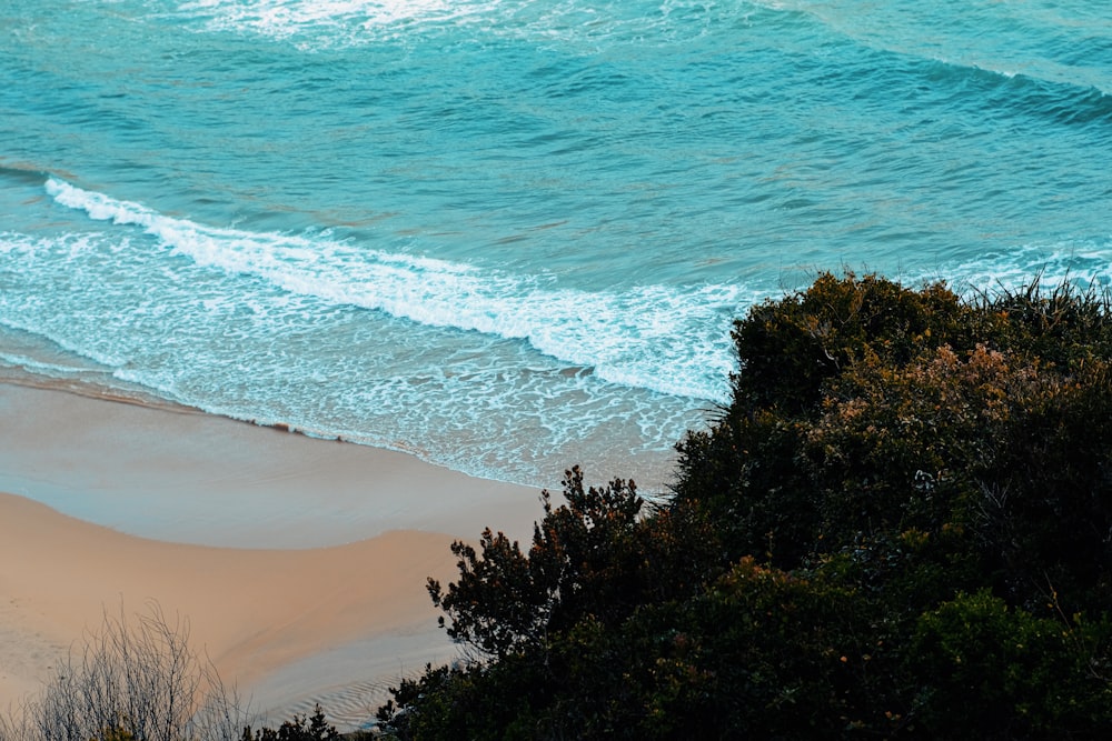 a view of a beach with waves coming in from the ocean