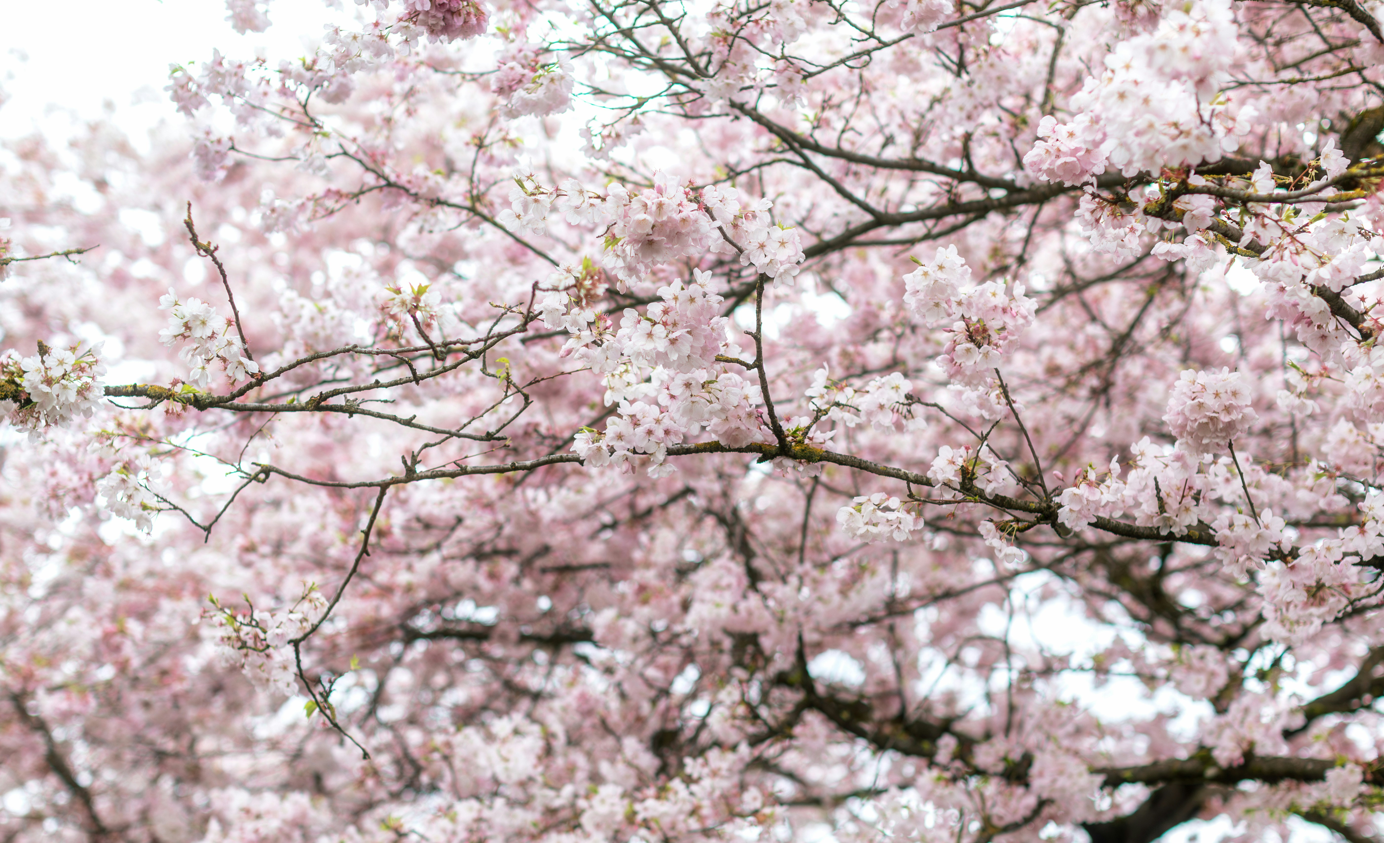 Photo by switchinglanes