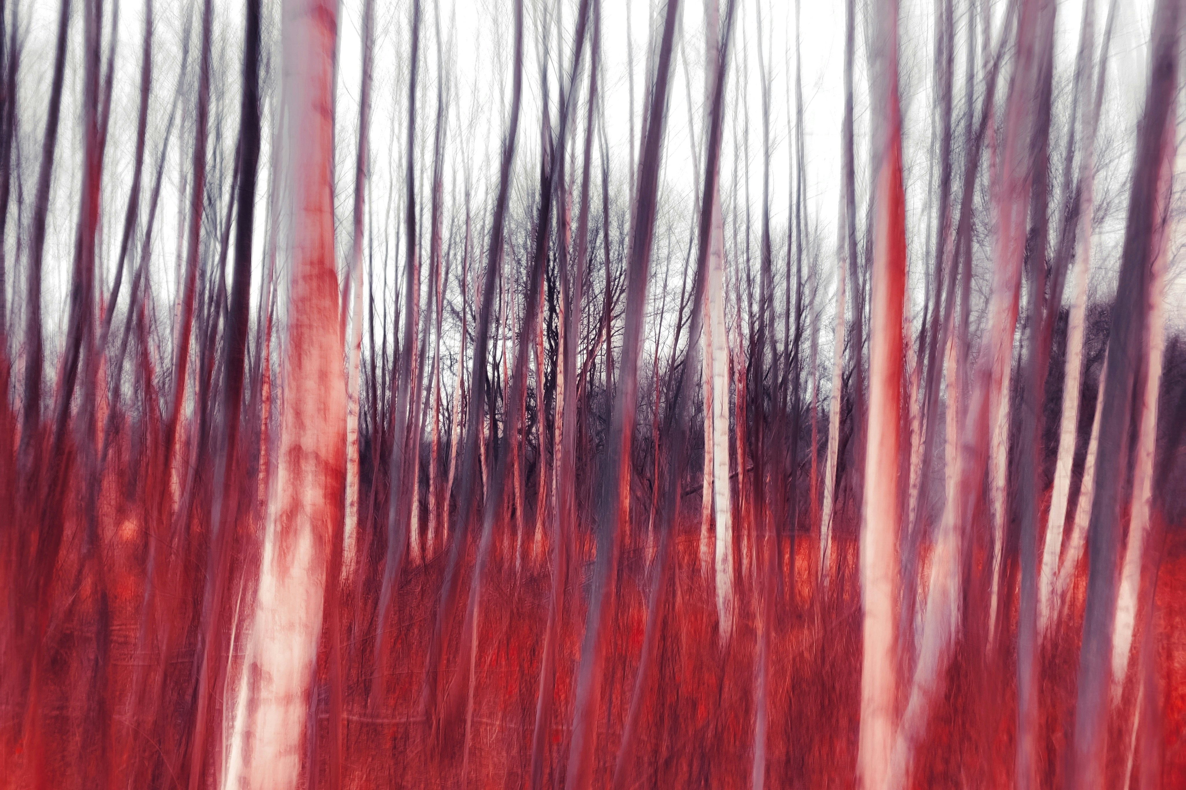 Photo by eugene_golovesov