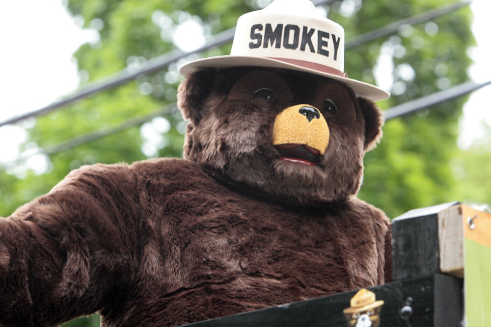 a brown teddy bear wearing a smokey hat