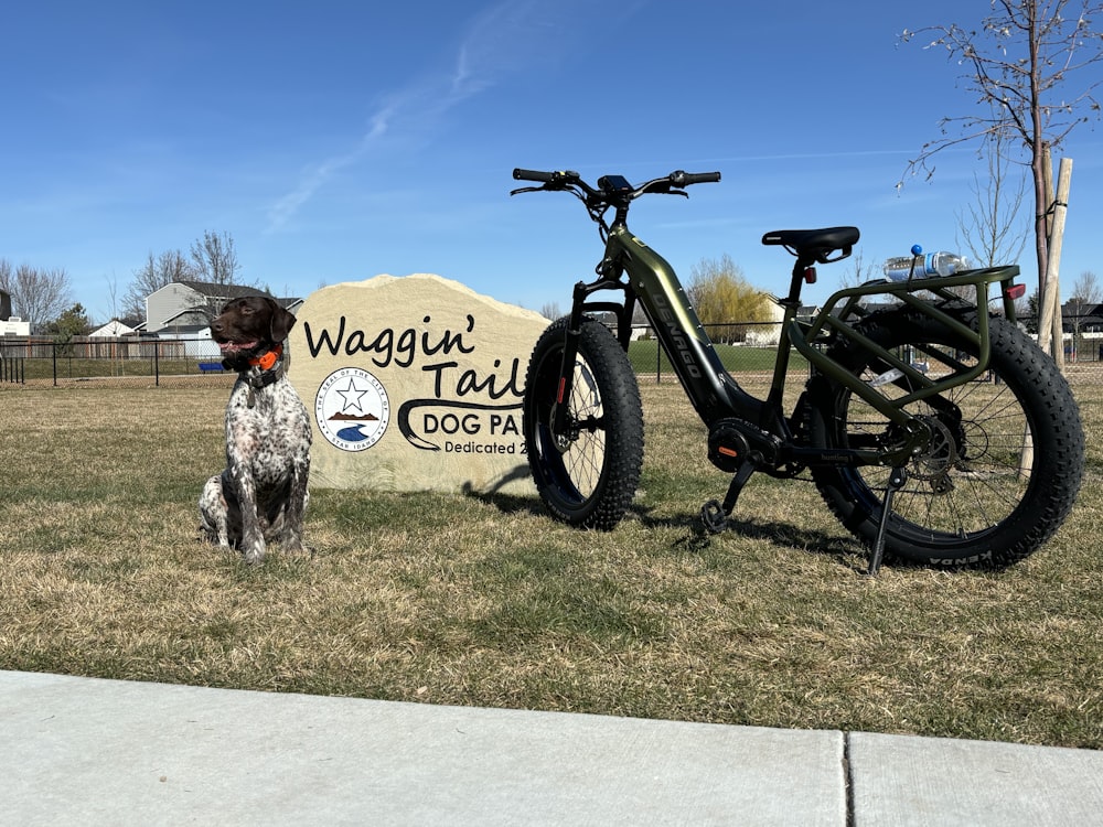 a dog standing next to a bike in a field