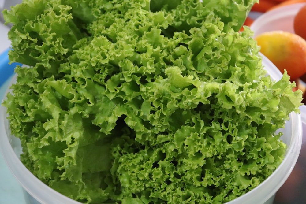 a close up of a bowl of lettuce