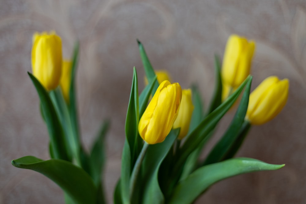 a vase filled with yellow flowers on top of a table